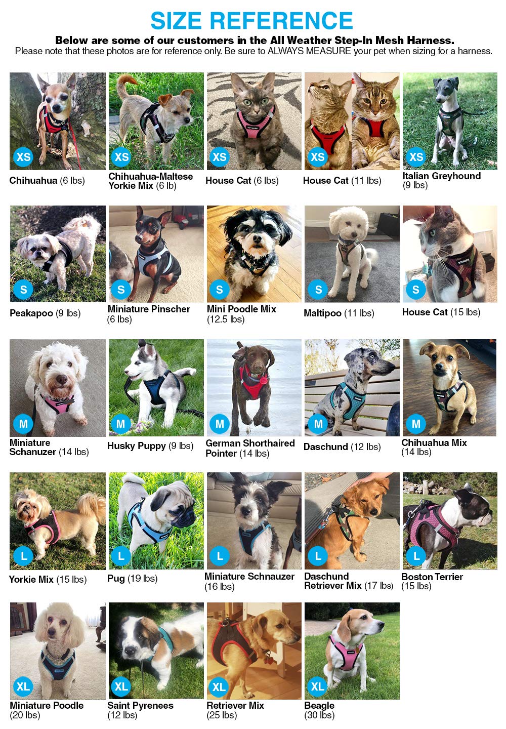 Voyager Step-In Air Dog Harness - All Weather Mesh Step In Vest Harness For Small And Medium Dogs By Best Pet Supplies - Purple Base, M