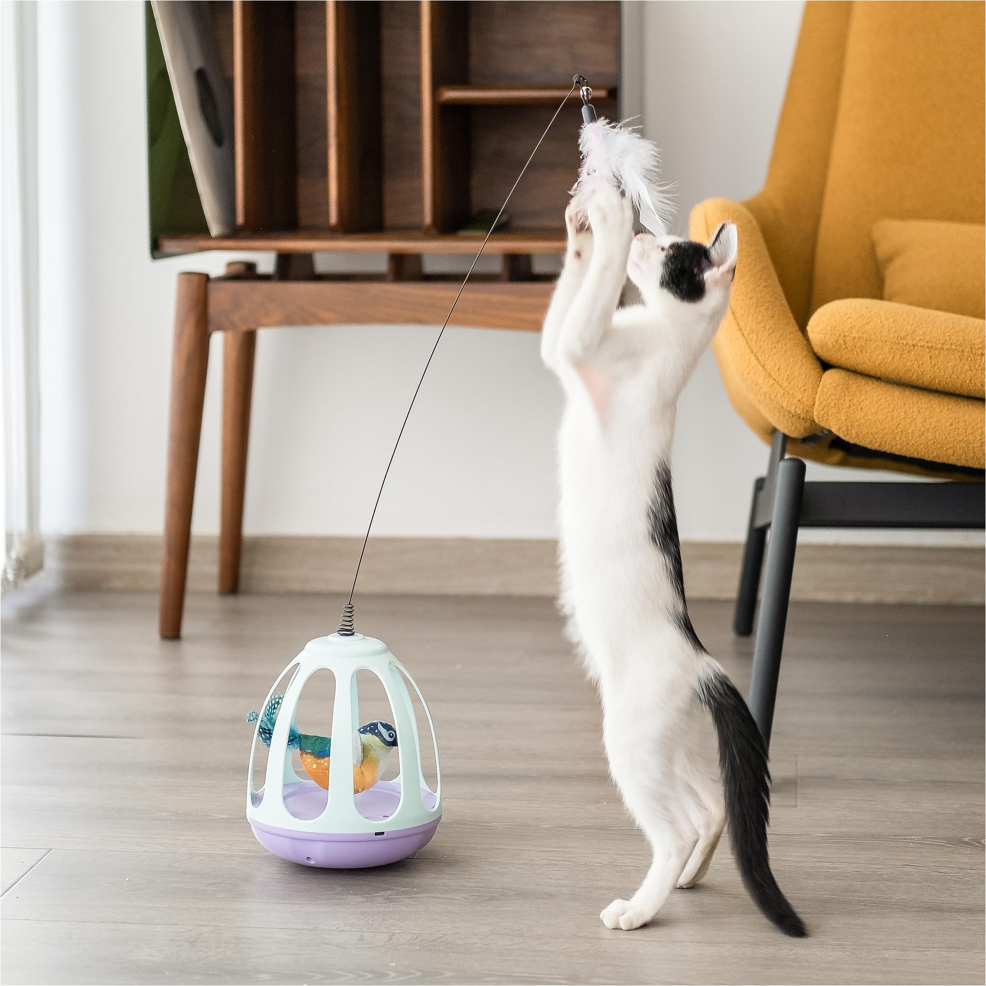 Interactive Automatic Cat Wand Toy - Kitten Feather Toys For Bored Indoor Adult Cats With Simulated Chirping Bird In Cage,Upgrad