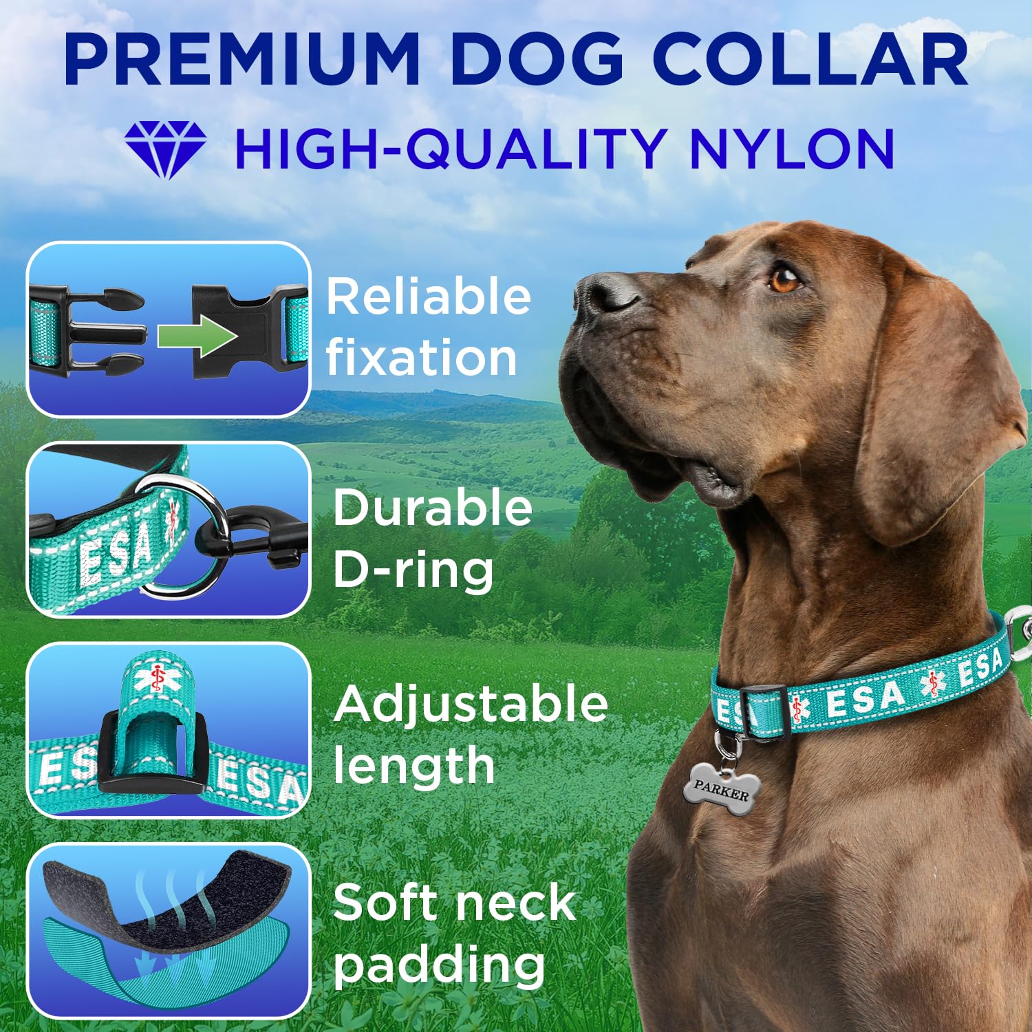 Teceum Reflective Pet Collar - Teal - Esa - M - Extra Soft Padding - Basic Nylon Dog Collar - Quick Release Buckle - Fits Small,