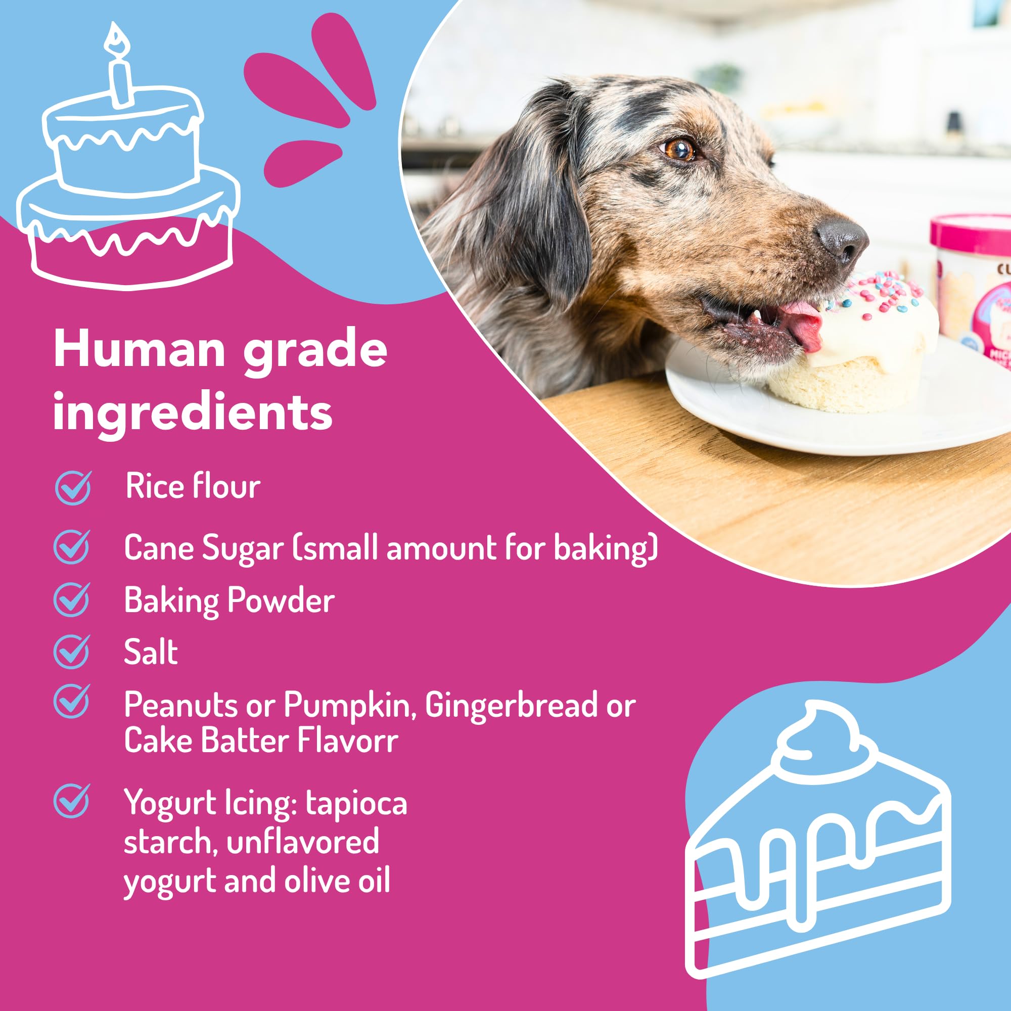 Cuppy Cake - Microwave Dog Birthday Cake in a Cup for Dogs - Just Add Water & Microwave, Ready in 2 Minutes - Yogurt Icing - All