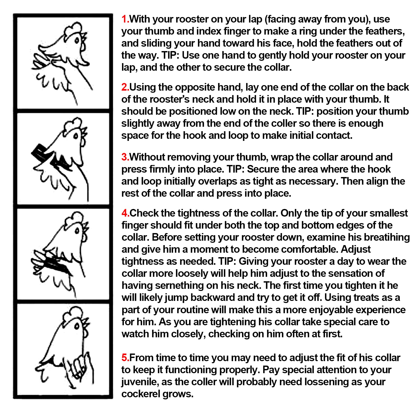 Upgrade Anti Crow Rooster Collar, Chicken Neckband Noise Free, No Crow Rooster Collar,Anti Noise Nylon Neck Belt To Keep Roosters Quiet,6 Pieces