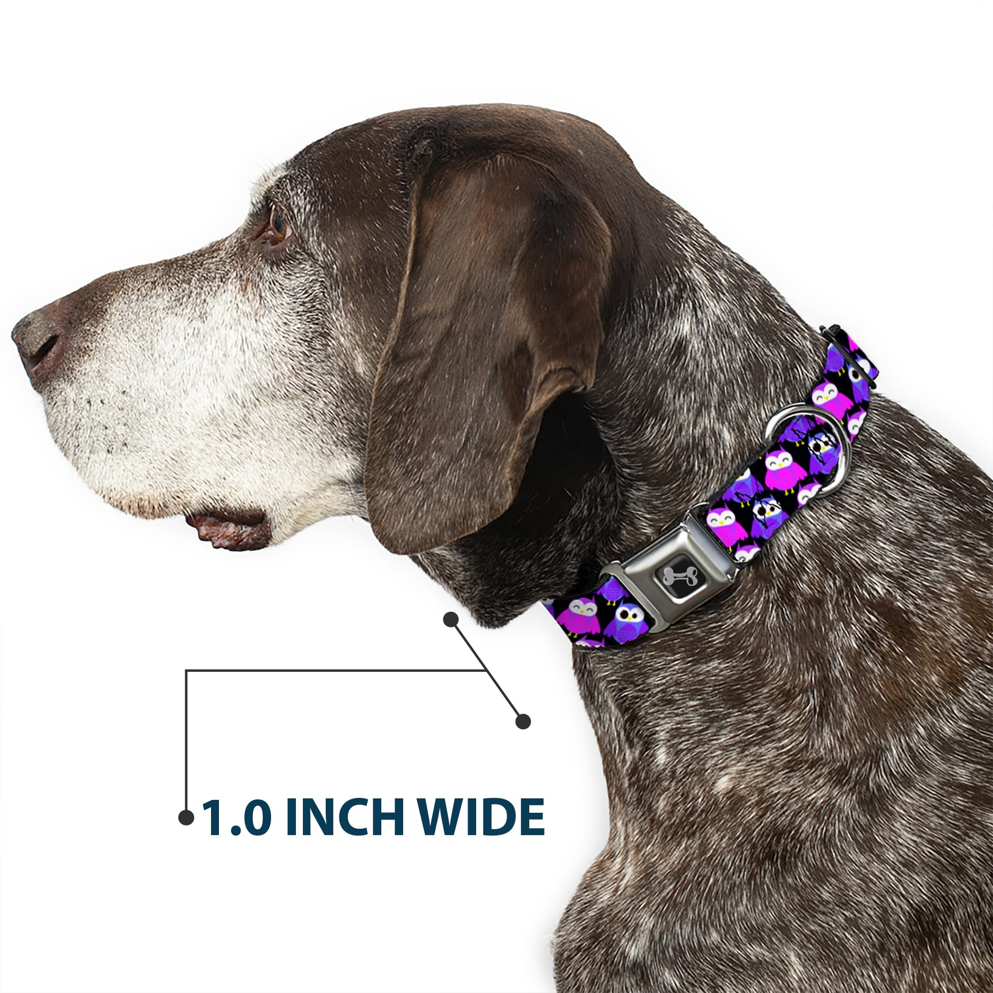 Dog Collar Seatbelt Buckle Owl Eyes Black Purples Pinks 16 to 23 Inches 1.5 Inch Wide