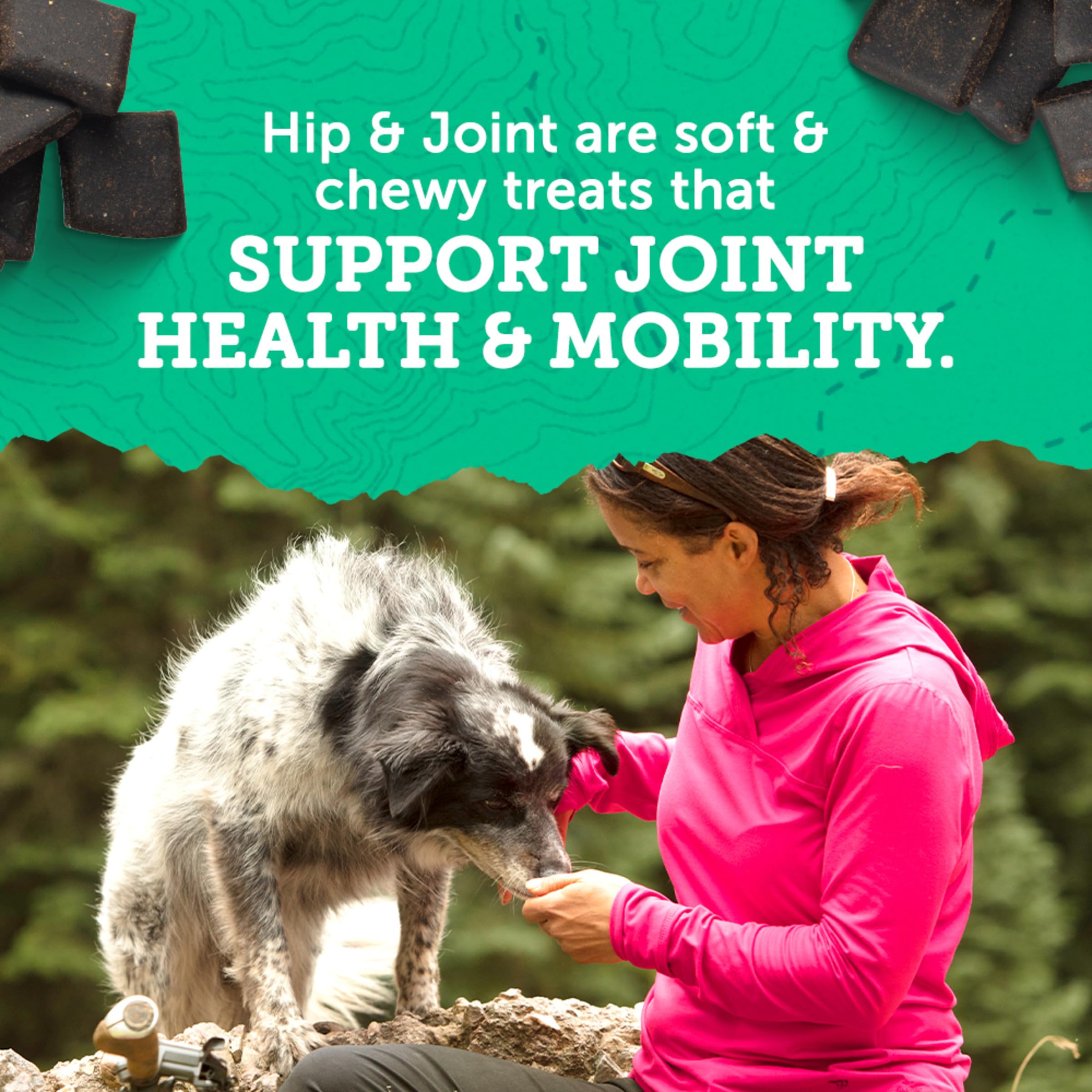 Zukes Hip and Joint Support Dog Treats for Adult Dogs of All Sizes, Senior Dog Treats made with Real Beef, 16 oz. Resealable Pou