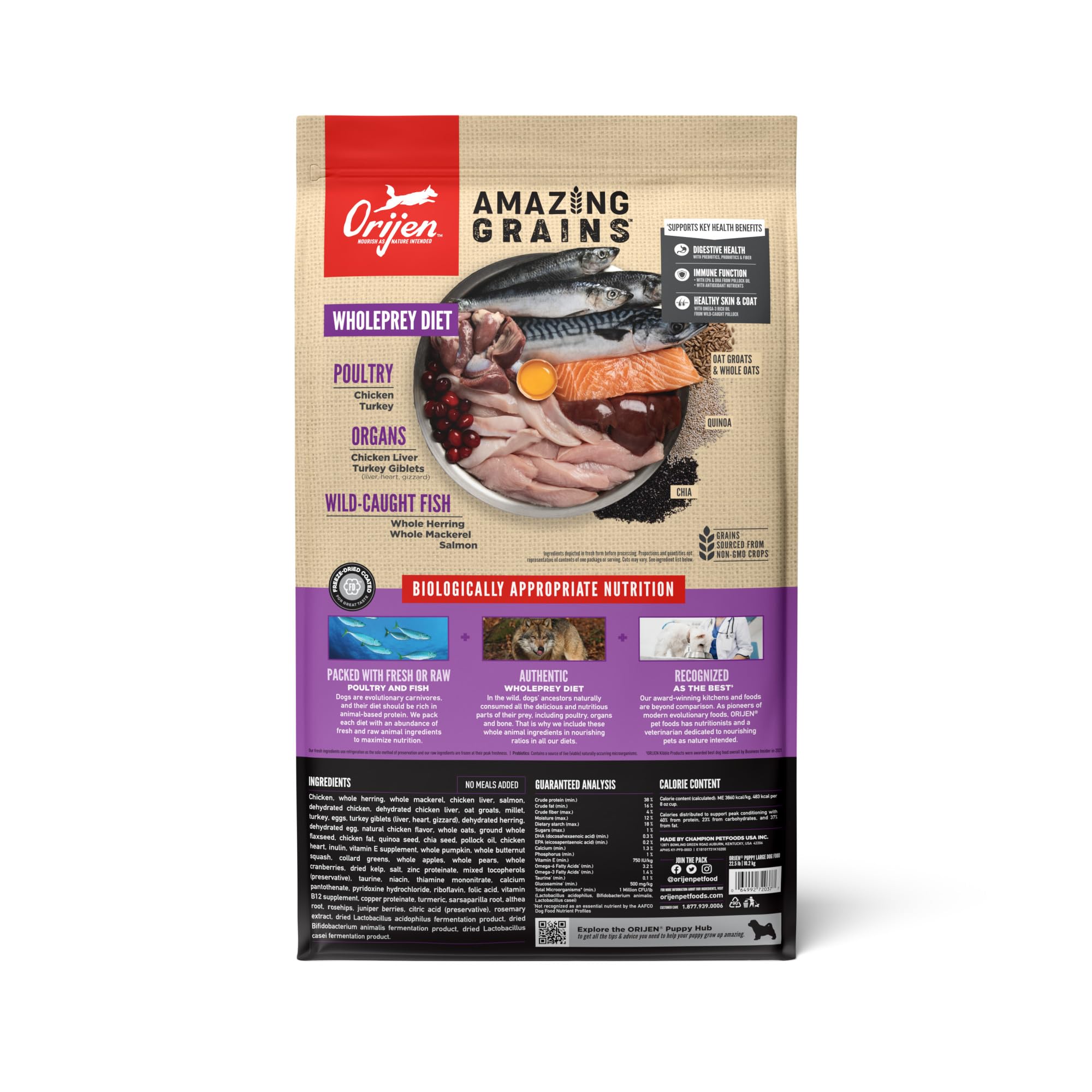 ORIJEN Amazing Grains Puppy Large Dry Dog Food, High Protein Dog Food for Large and Giant Puppy Breeds, Fresh or Raw Ingredients
