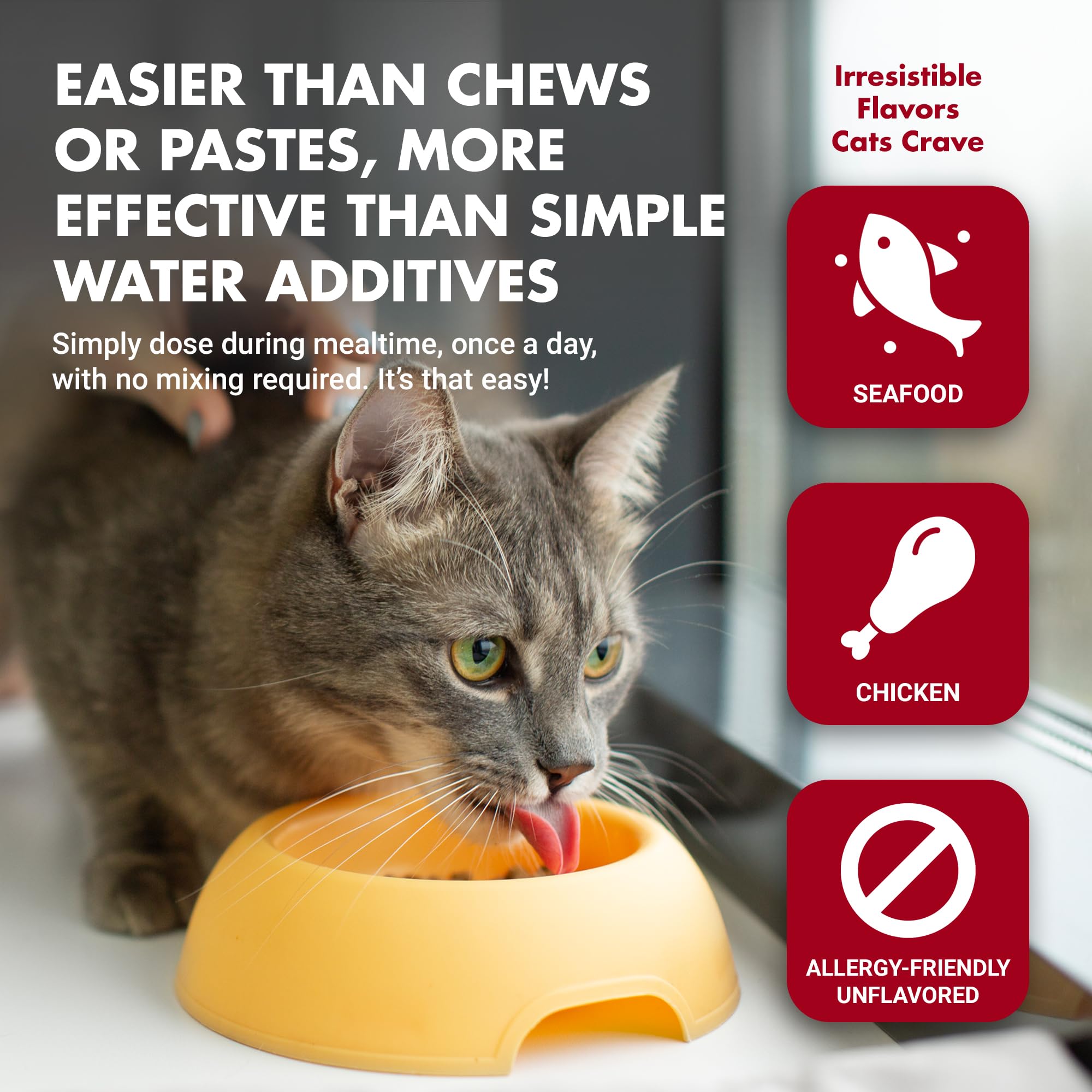 LIQUID-VET by Cool PET Holistics Feline Itch & Allergy Advanced Formula, Chicken Flavor, 8 oz