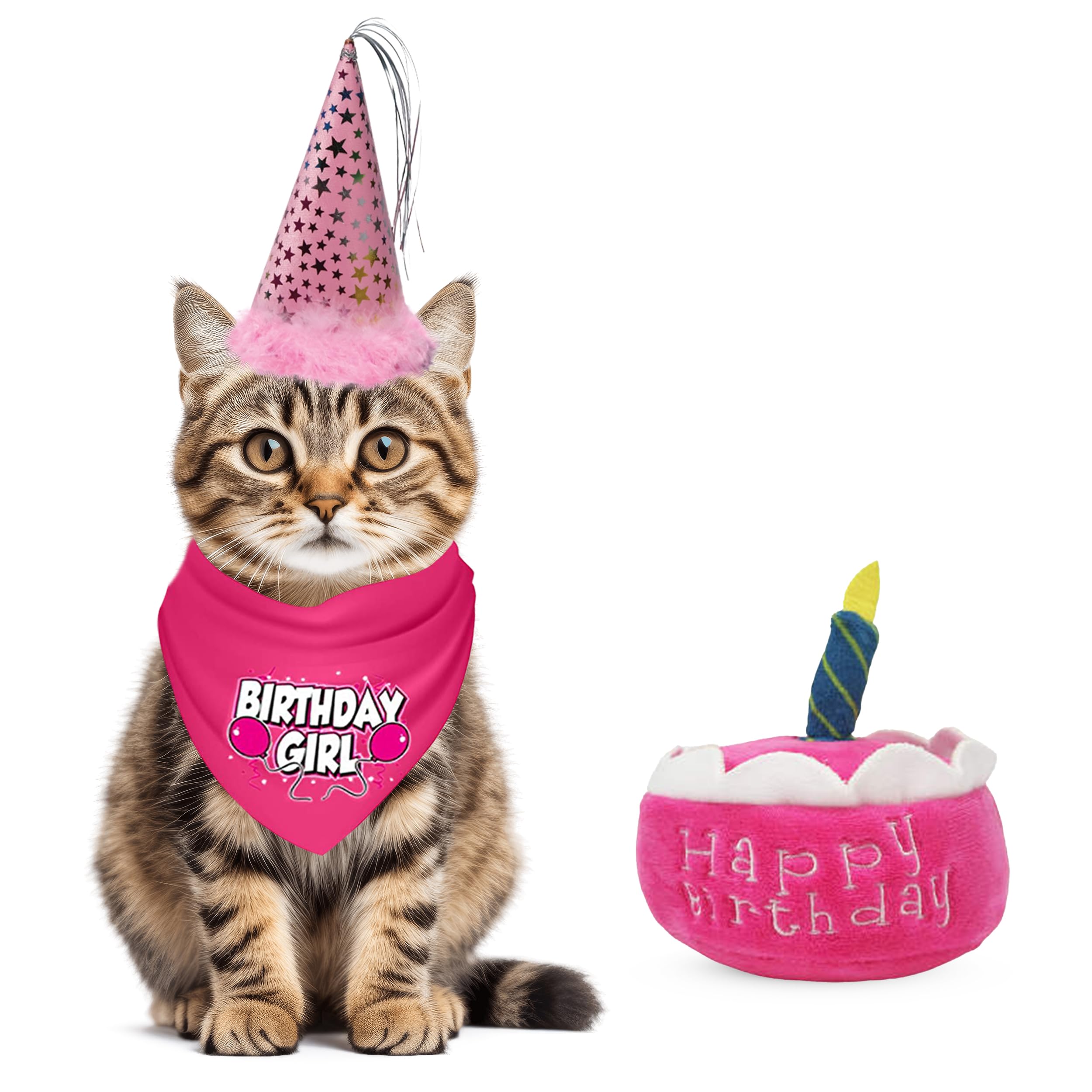 Jt Pet Cat Birthday Girl Party Pack With Bandana, Star Spangled Pink Party Hat With Adjustable Elastic, Tassels And Feathery Tri