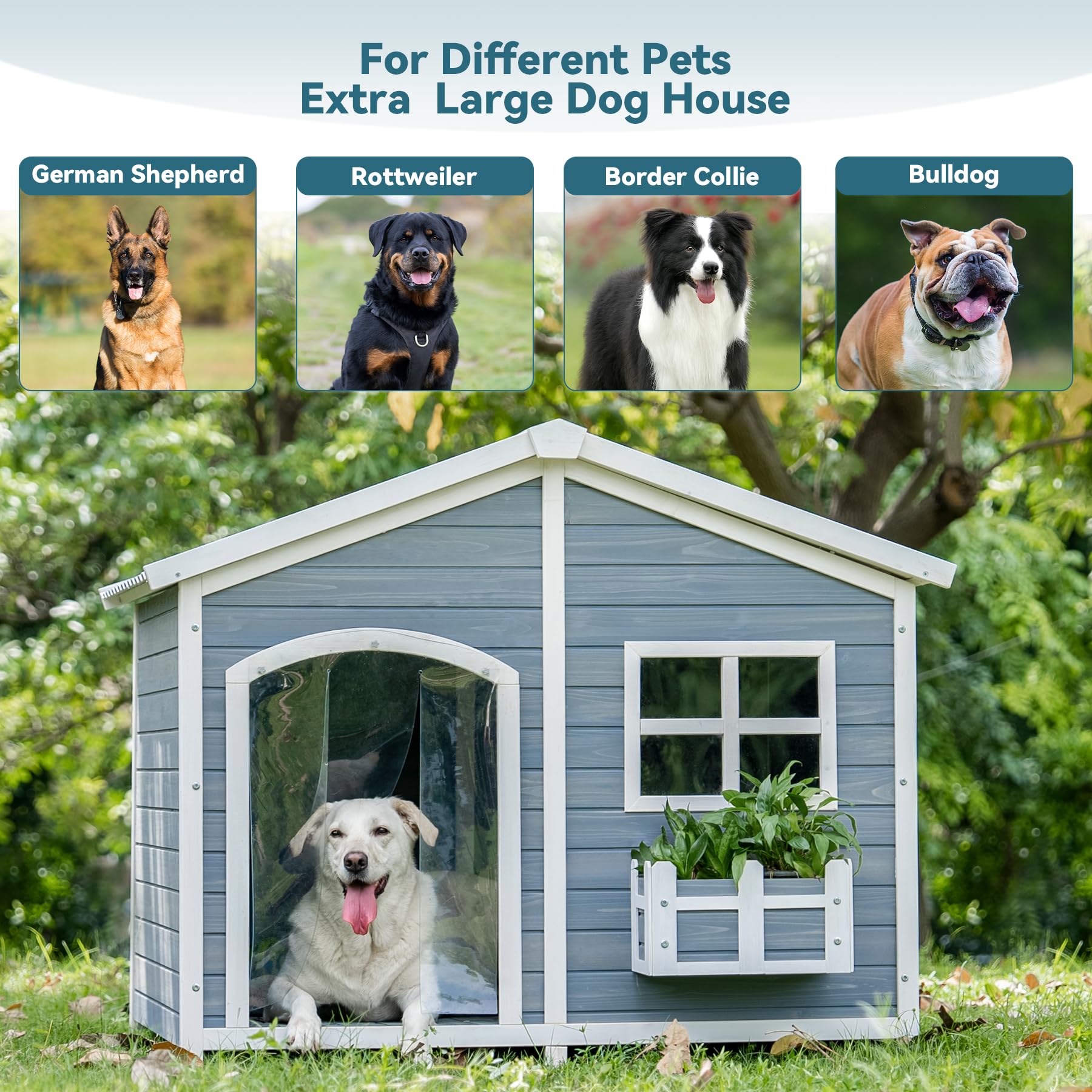 Petsfit 47'' Dog House Outdoor With Waterproof Pvc Roof, Extra Large Doghouse For 2 Medium Dogs, Dog House Outdoor Large Breed,