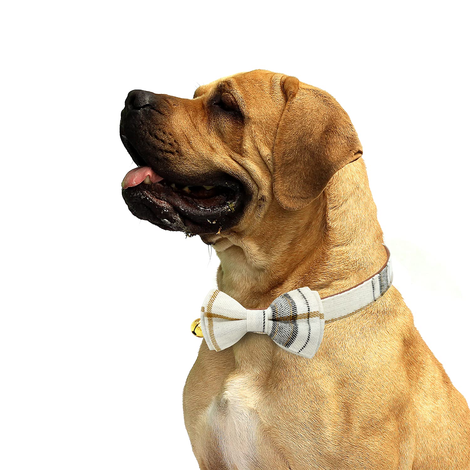 Kudes 2 Pack/Set Dog Collars With Bow Tie And Bells, Adjustable Cute Dog Bow Ties Collar For Small/Medium/Large Boys And Girls Pets (Beige & Brown, S(9.6''-13.8''))