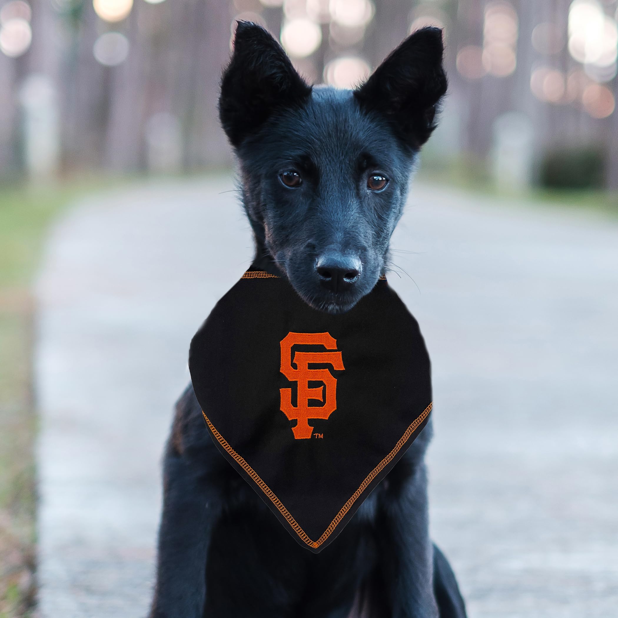 Pets First Mlb San Francisco Giants Tie Bandana, Large/X-Large. Dog Bandana Scarf Bib For Pet Cat Dog. The Ultimate Game-Day, Pa