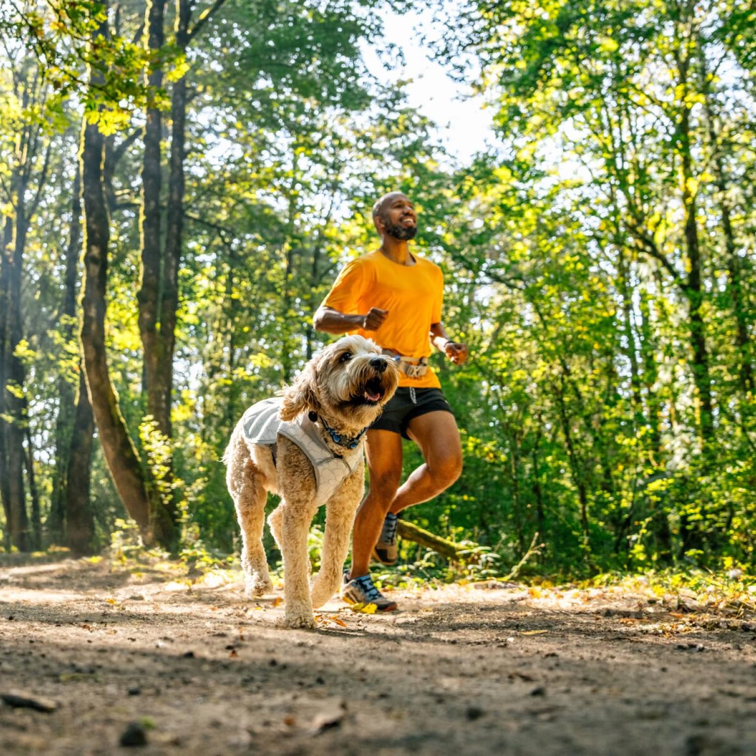 Ruffwear, Swamp Cooler Dog Vest, Evaporative Cooling For Hot Weather, Compatible With Most Harnesses, Biolumin Blue, Xx-Small
