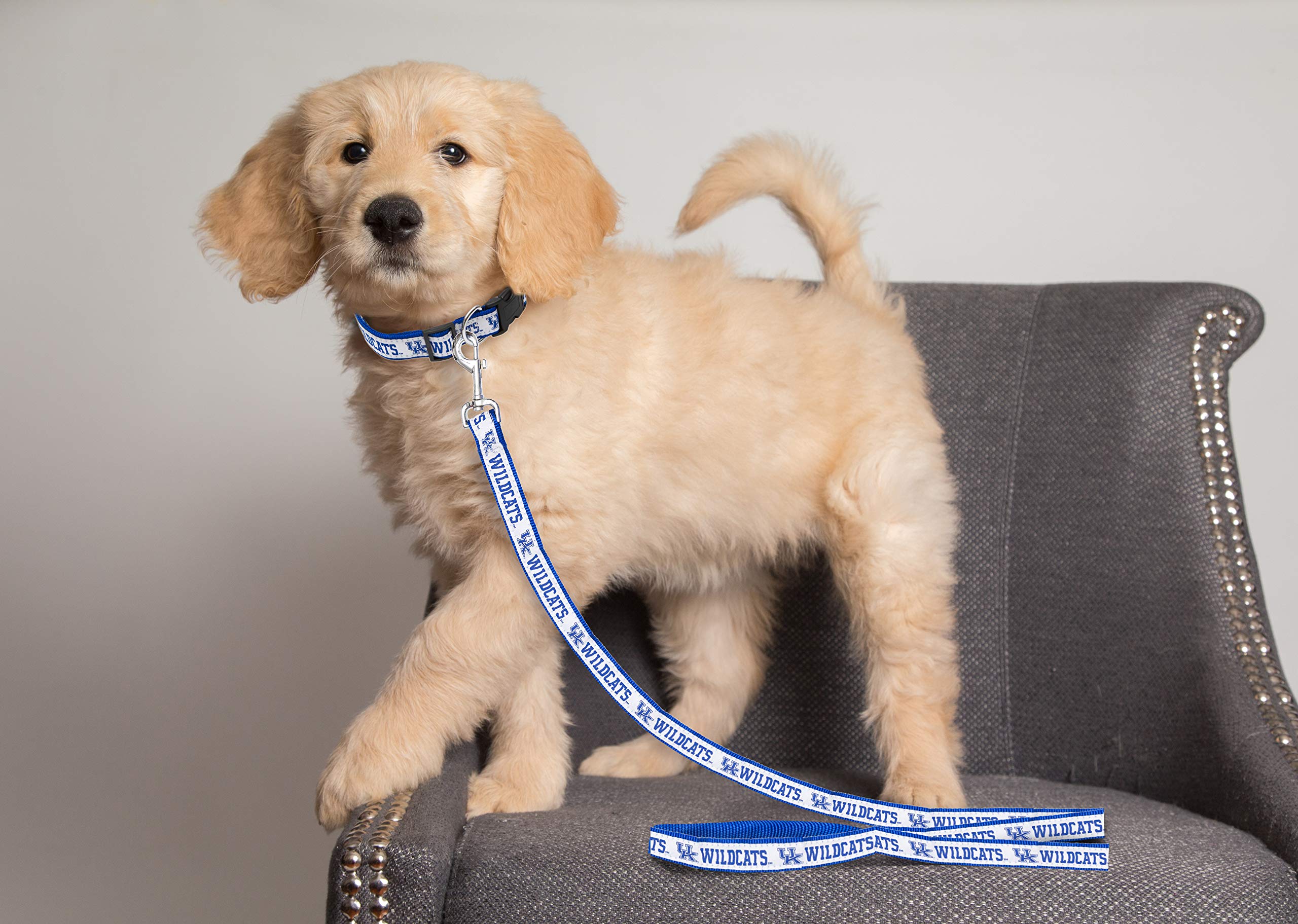 Ncaa Pet Leash, Small, Kentucky Wildcats, Dog Leash, Shiny & Colorful Leash For Dogs & Cats Licensed By The Ncaa