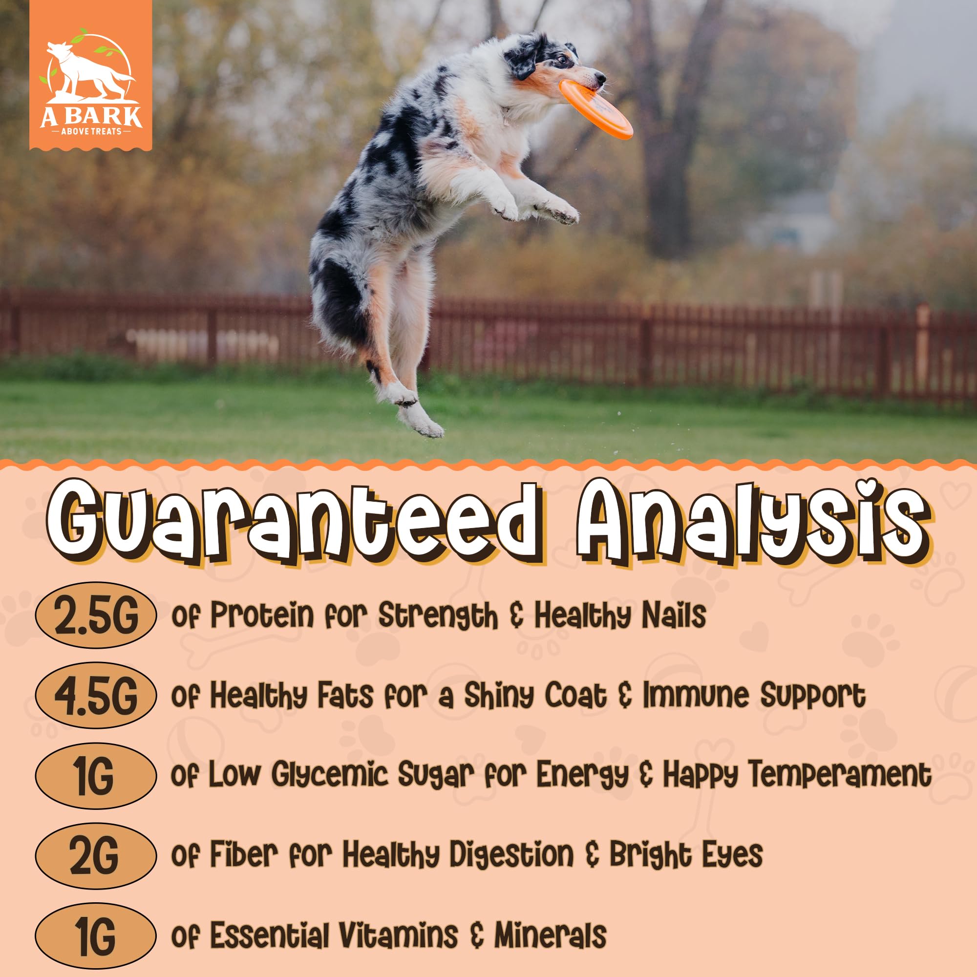 Zoomie Butter Pumpkin Power Dog Peanut Butter Spread, All Natural Dog Treat. Human Grade & Safe Puppy Food, Peanuts & Pumpkin fo