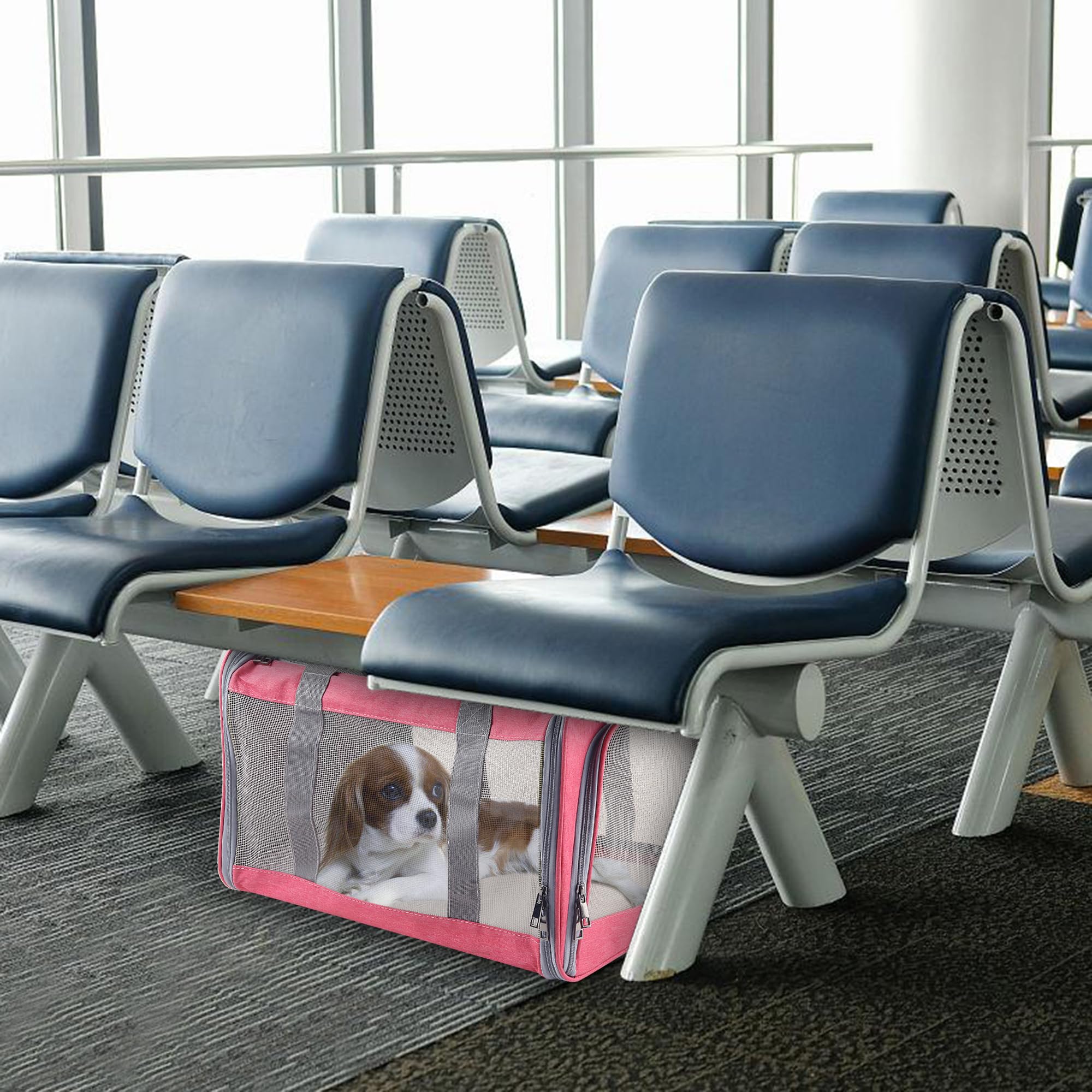 Atvobiy Cat Dog Carrier For Small Medium Cats Pet Carrier For Large And Medium Cats Puppies Portable Cat Carrier Soft Pet Carrie