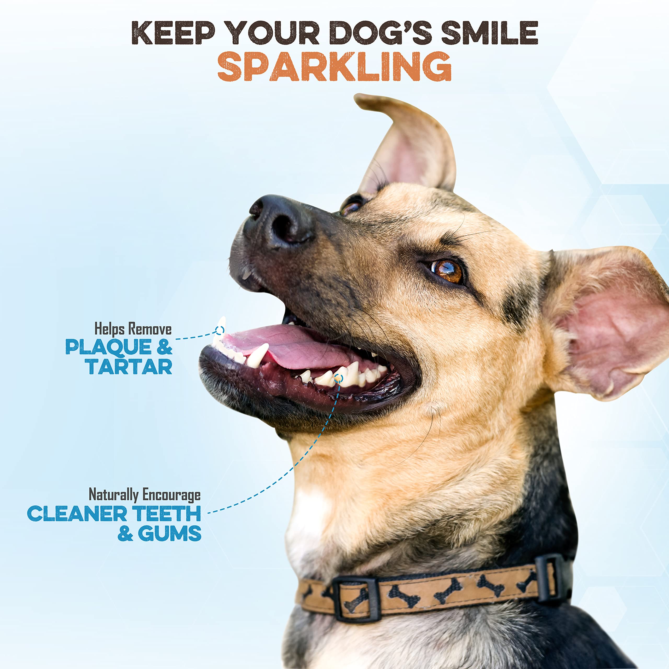 BRUTUS & BARNABY Thick Bully Sticks for Dogs - Odor Free Chews for Large, Medium & Small Breeds - Grain-Free, Rawhide-Free, Dige