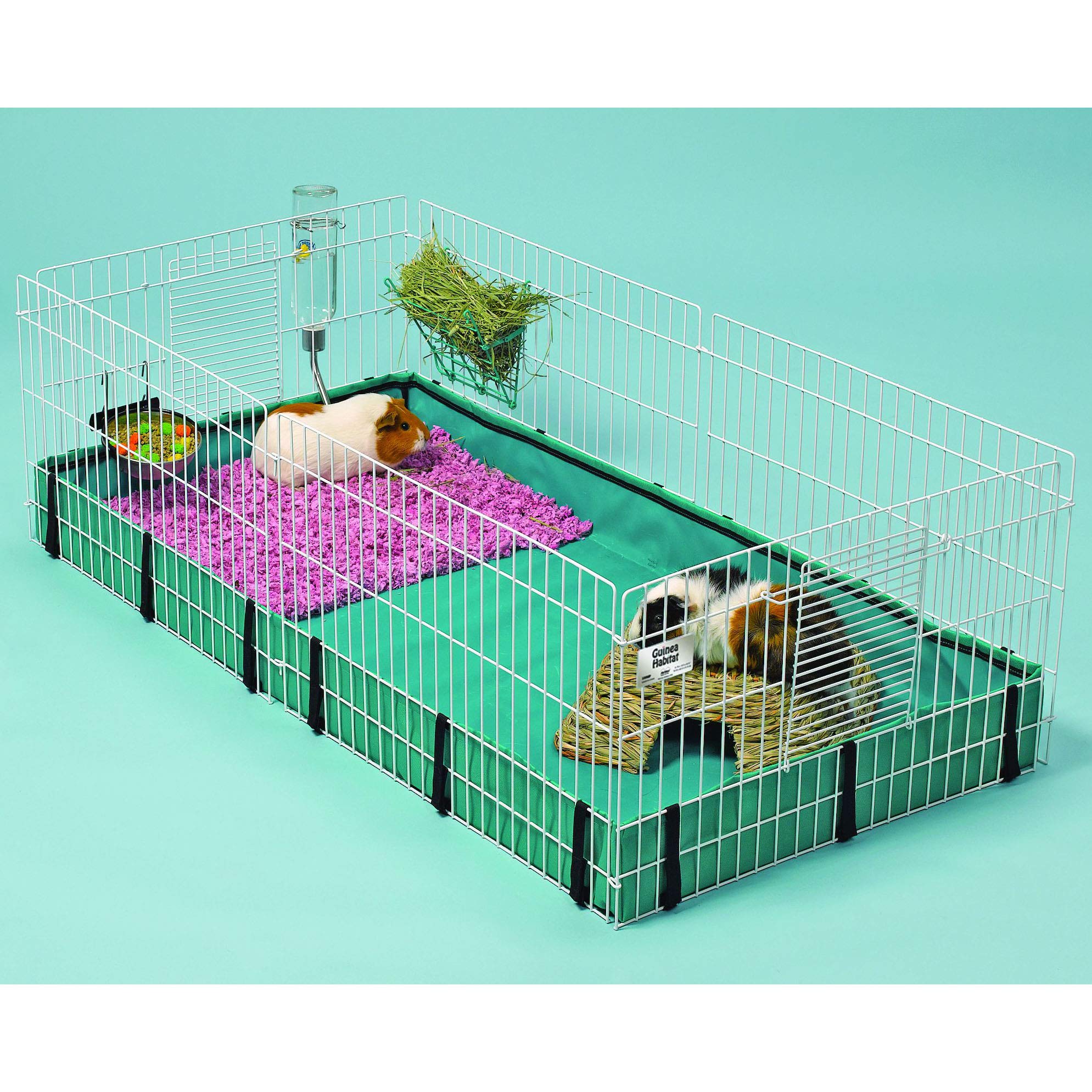 MidWest Homes for Pets Guinea Habitat Guinea Pig Cage by MidWest, 47L x 24W x 14H Inches