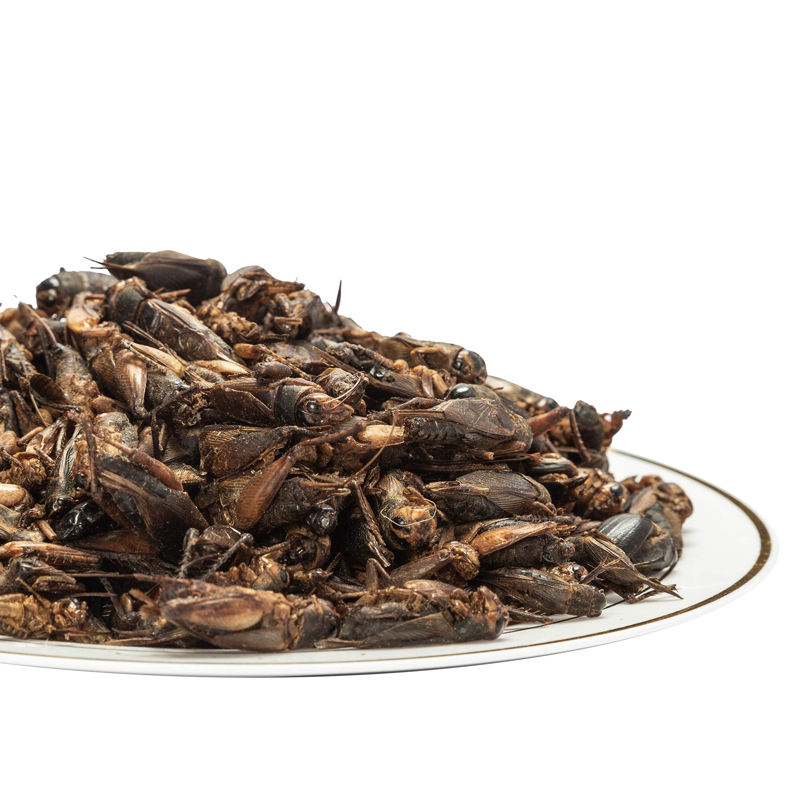 Amzey Appetizing Mealworms Natural Dried Crickets - Food for Bearded Dragons, Wild Birds, Chickens, Fish - (8 oz Resealable Bag)