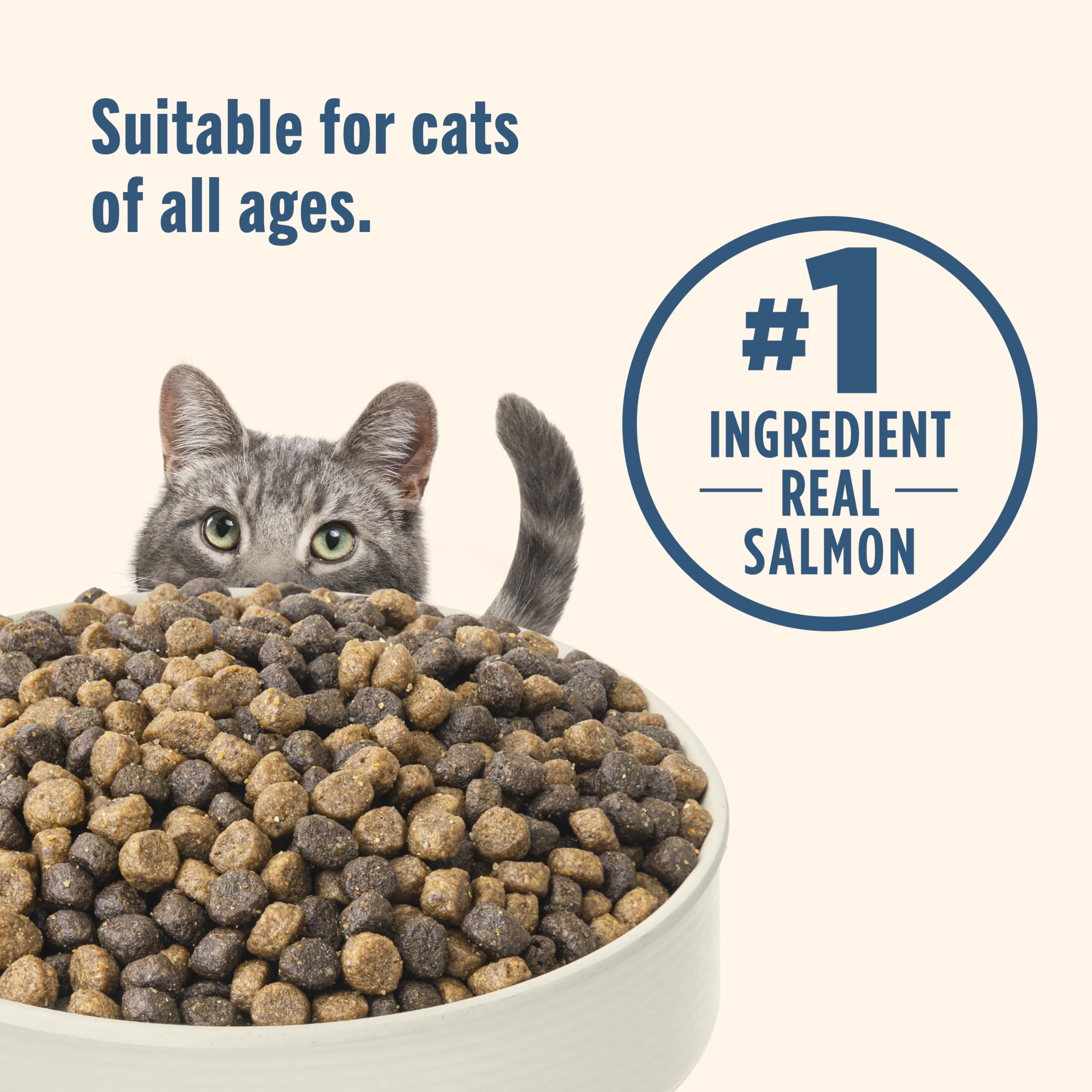 Nutrish Real Salmon & Brown Rice Recipe Dry Cat Food, 14 lb. Bag, Packaging May Vary (Rachael Ray)