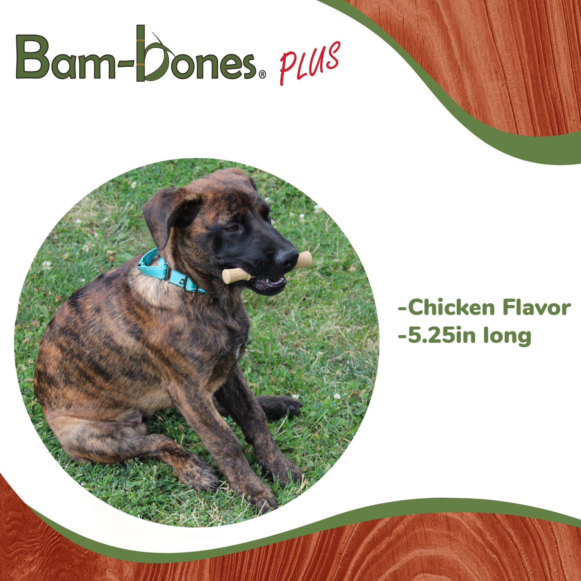 Ethical Pet Bambone Plus Bamboo Stick Dog Chew Toy, 525 Inch, Non-Splintering Alternative To Real Wood (690975)