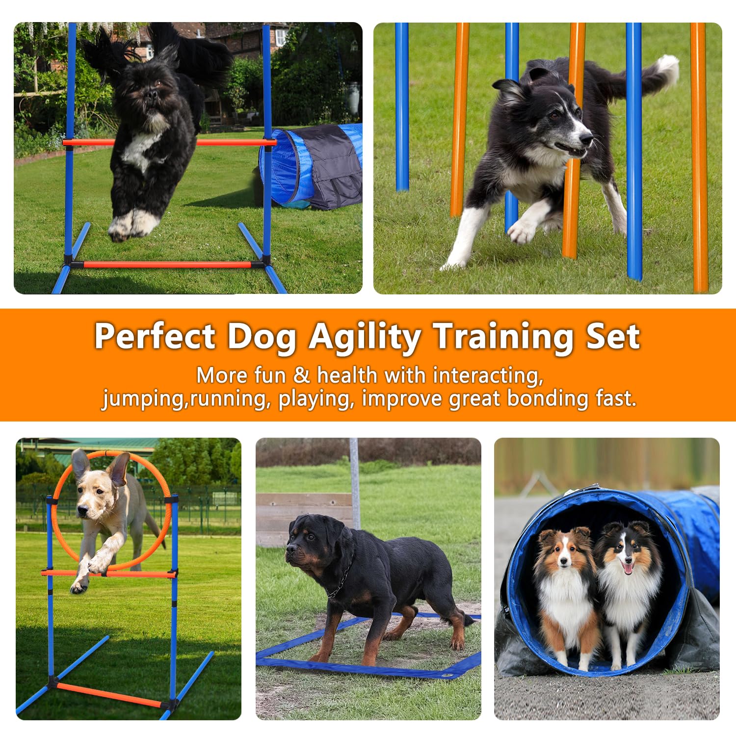 Dog Agility Training Equipment Set Outdoor Indoor Game, Tire Jump + Hurdle Jump, Tunnel, Weave Poles, Pause Box, 2 Toy Balls, 2