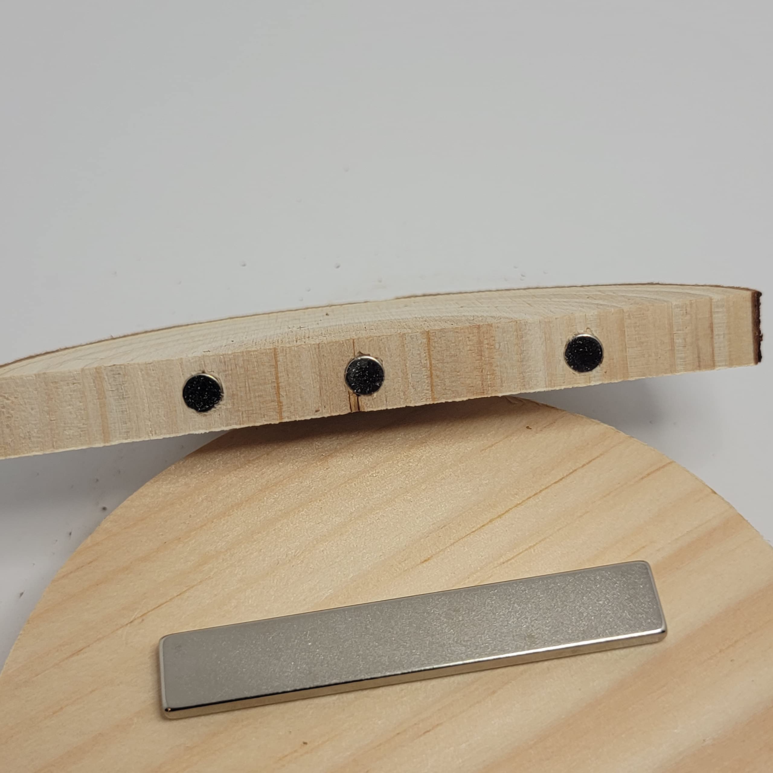 1 Pc. Magnetic Arboreal Ledge | Jumping Spider Ledge | The Critters Cave (Sleeker But Weaker: Smaller Embedded Magnets)