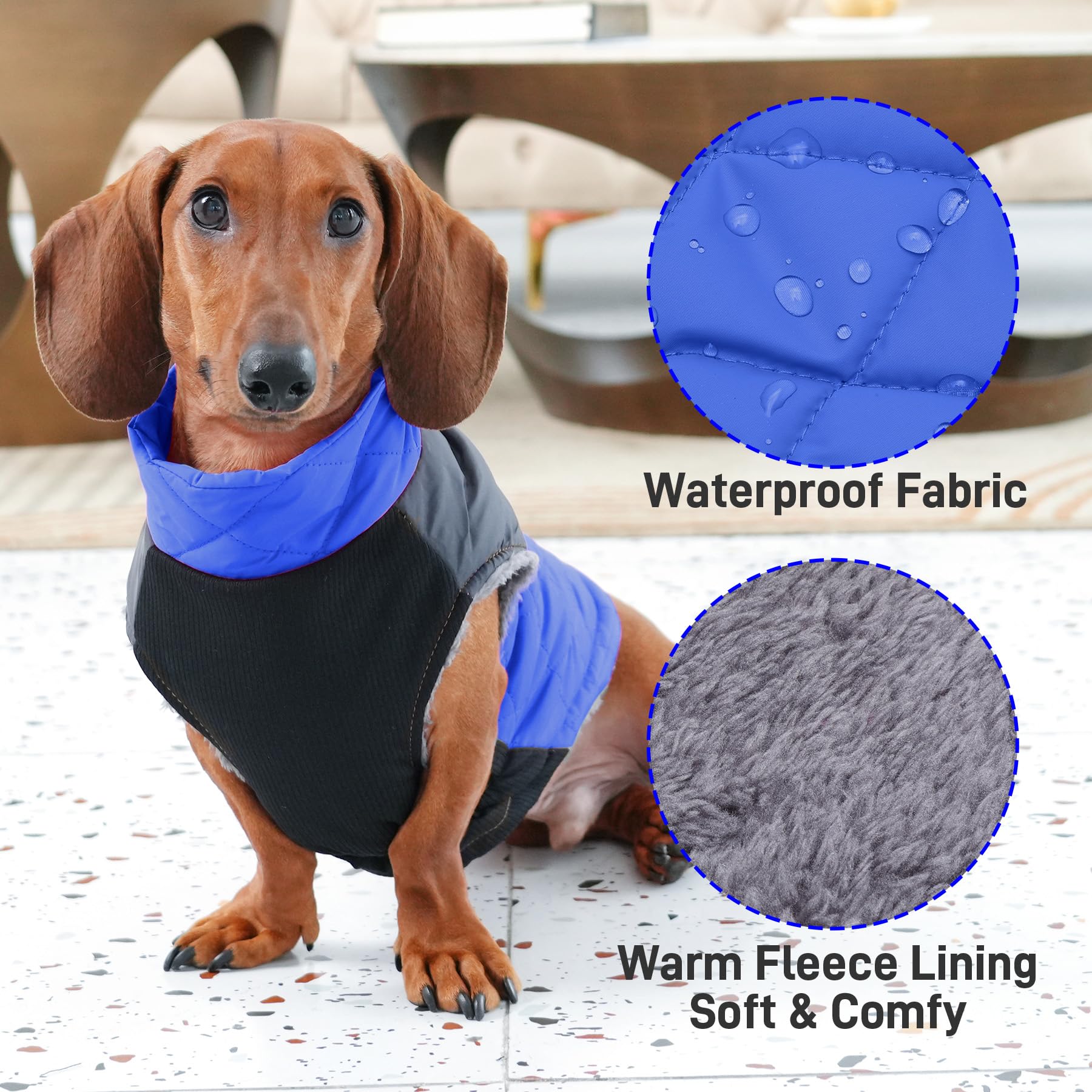 Joydaog Warm Fleece Dog Coats For Small Dogs,D-Rings Waterproof Puppy Jacket For Cold Winter,Blue S