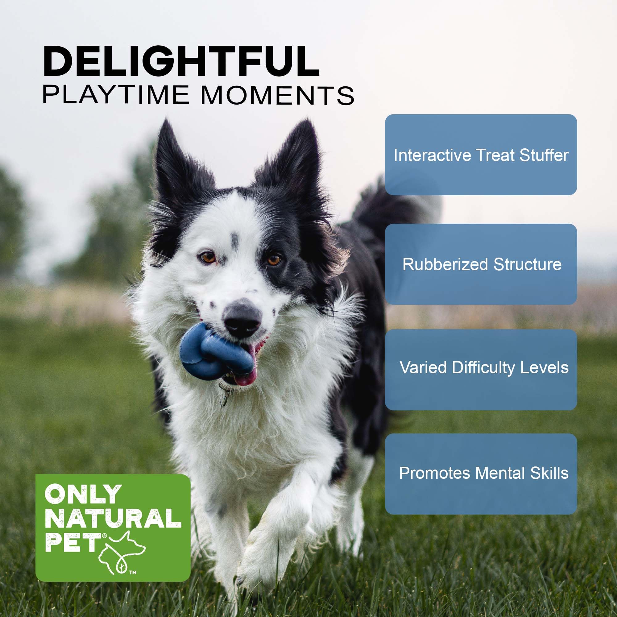 Only Natural Pet Rubber Boredom Buster Treat Stuffer Dog Toys - Interactive Stuffable Feeder Dispenser Fillable Durable Play Puppy Medium Large Xs Chew Pup Hide Holder Easy Refill -Treatknot/Darkblue