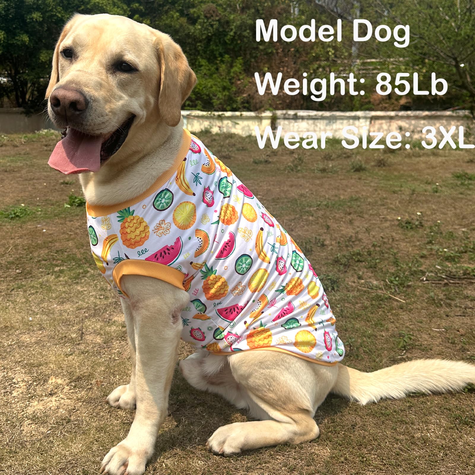 Dog Sleeveless T Shirt Yellow Fruits Prints Vest Shirt Soft Stretchy Summer Clothes For Extra Large Dog Boys Girls Shirt 2X-Larg