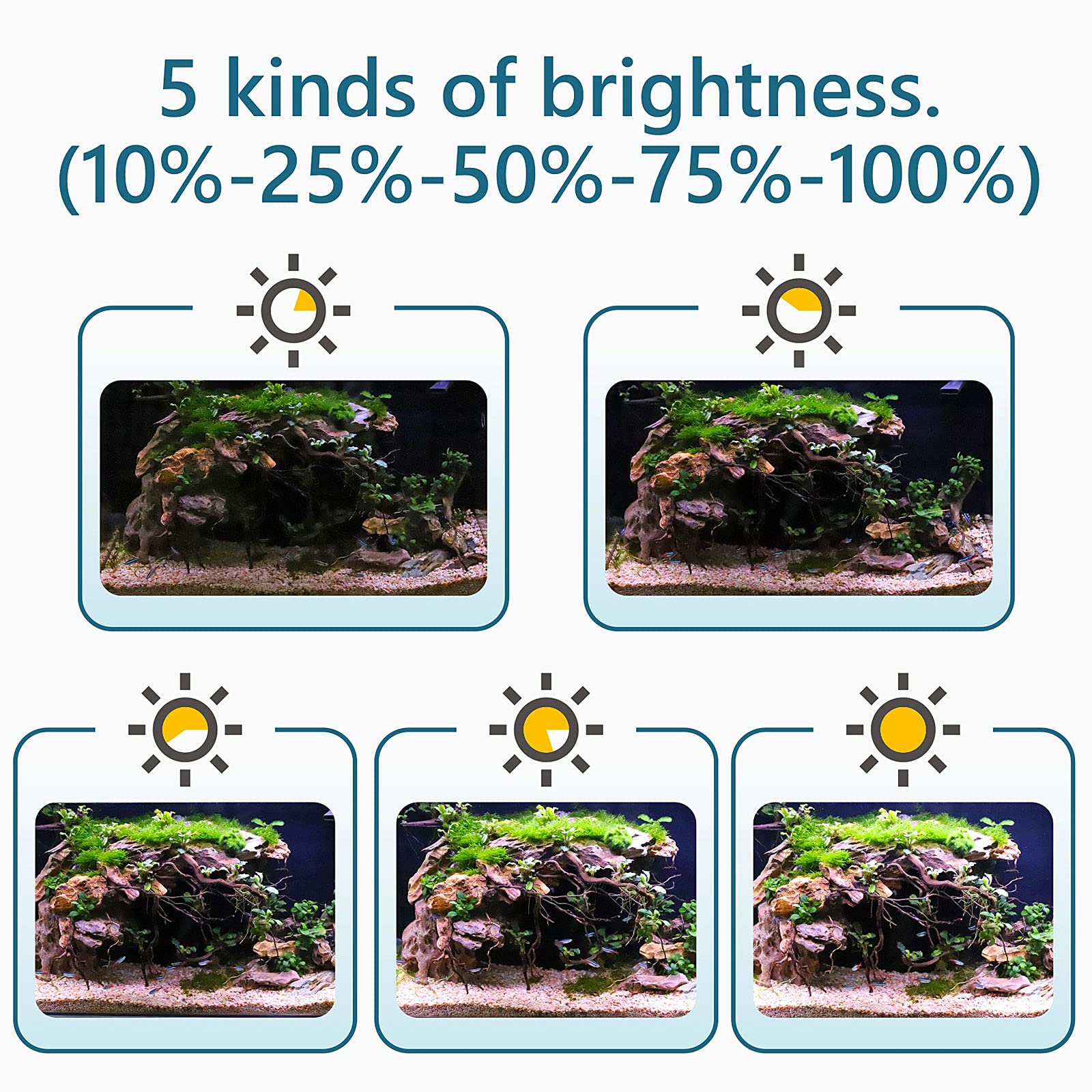 Hygger Clip On 24/7 Lighting Aquarium Led Light, 14W Sunrise-Daylight-Moonlight And Diy Mode, Adjustable Timer / Brightness Fish Tank Light With 7 Colors For Planted Tank