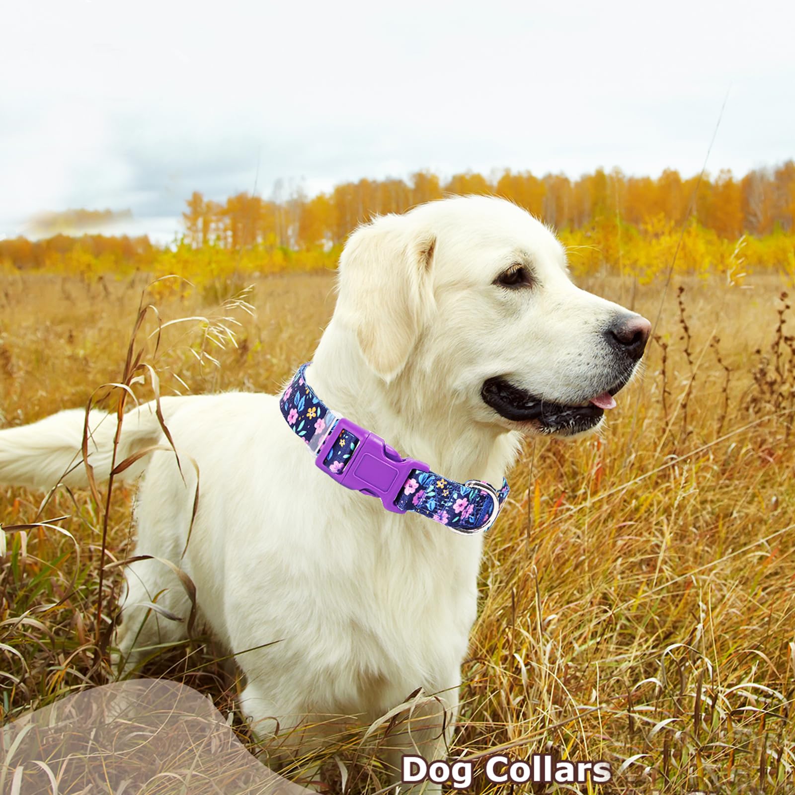 Purple Dog Collars For Large Dogs,Cute Girl Dog Collar With Boho Flowers Patterns,Adjustable Comfy Soft Durable Pet Collar For S