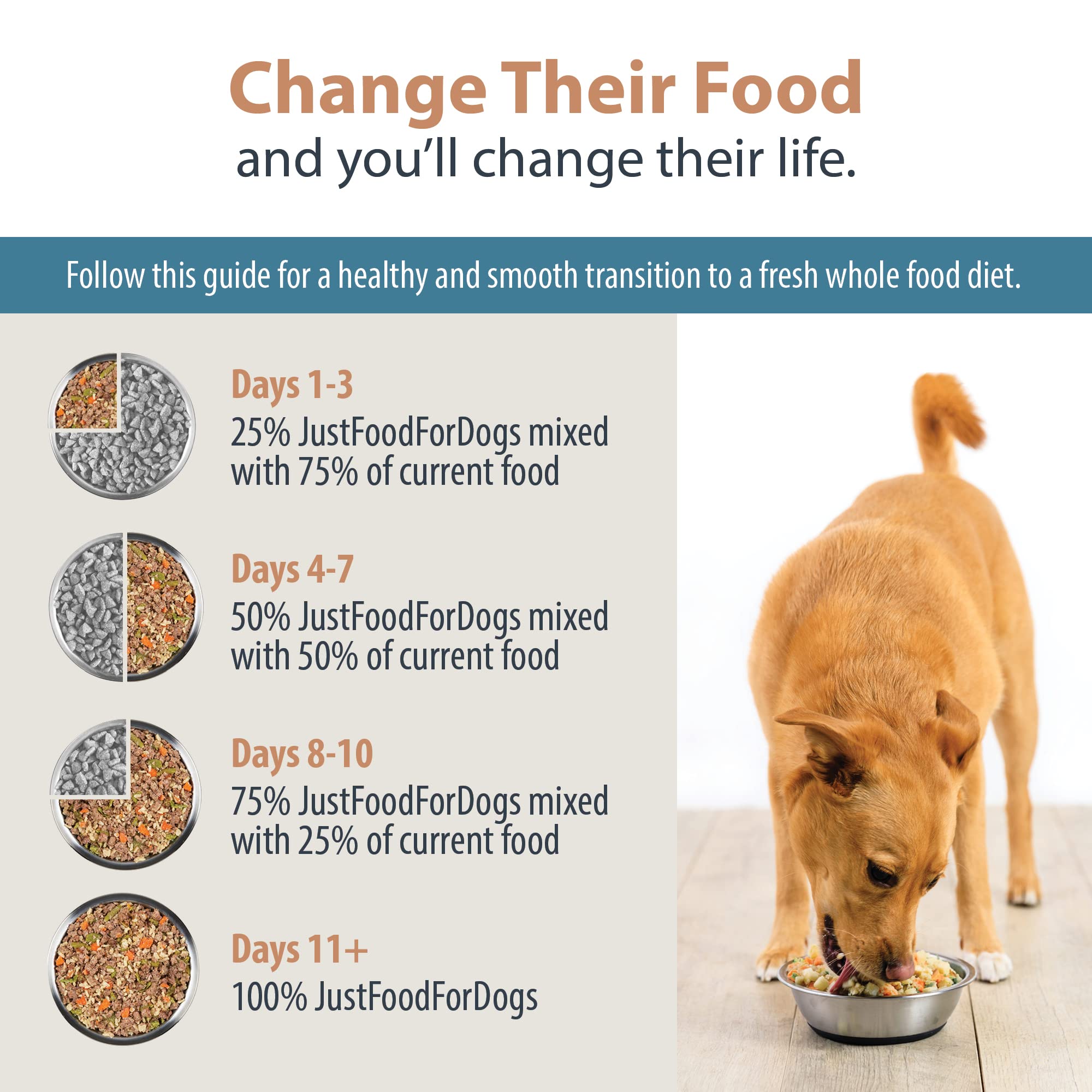 JustFoodForDogs Frozen Fresh Dog Food Starter Pack, 5.5 Oz (9 Pack), Brown, Human Grade