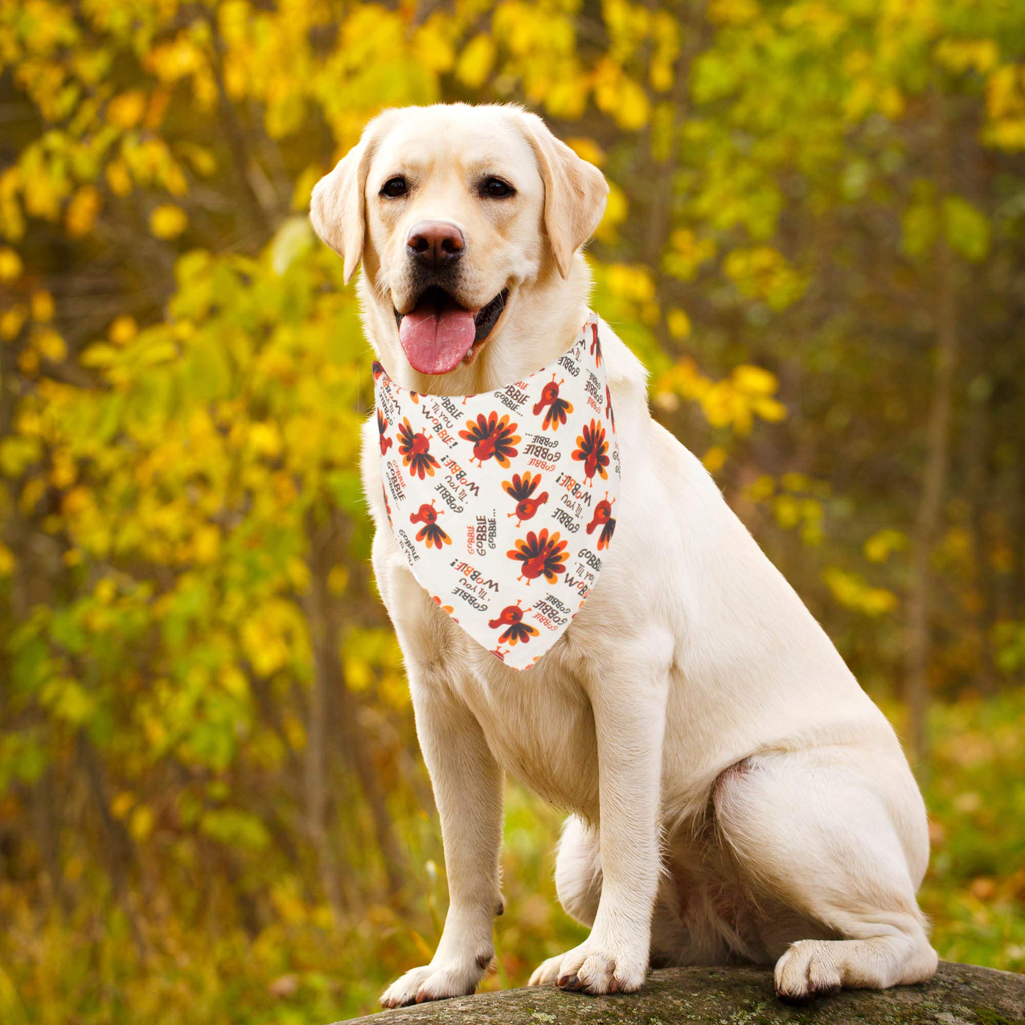 Adoggygo Thanksgiving Dog Bandana Fall Autumn Pet Bandana Reversible Triangle Bibs Scarf Accessories For Large And Extra Large D