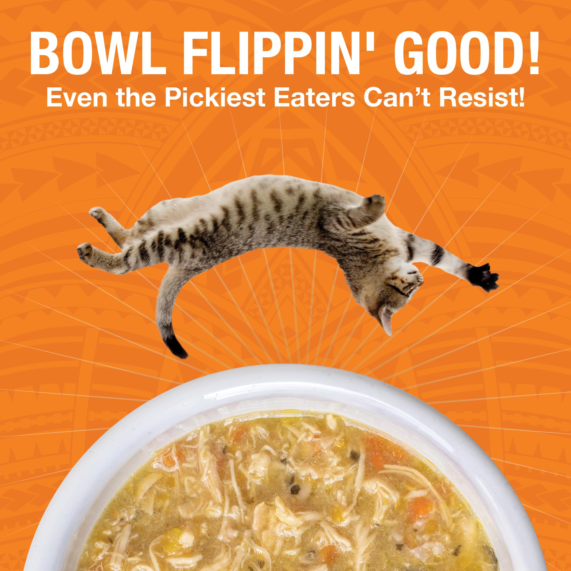 KOHA Pure Shreds Chicken Entr  e for Cats, High Protein Wet Cat Food, 2.8oz Cans (Pack of 24)