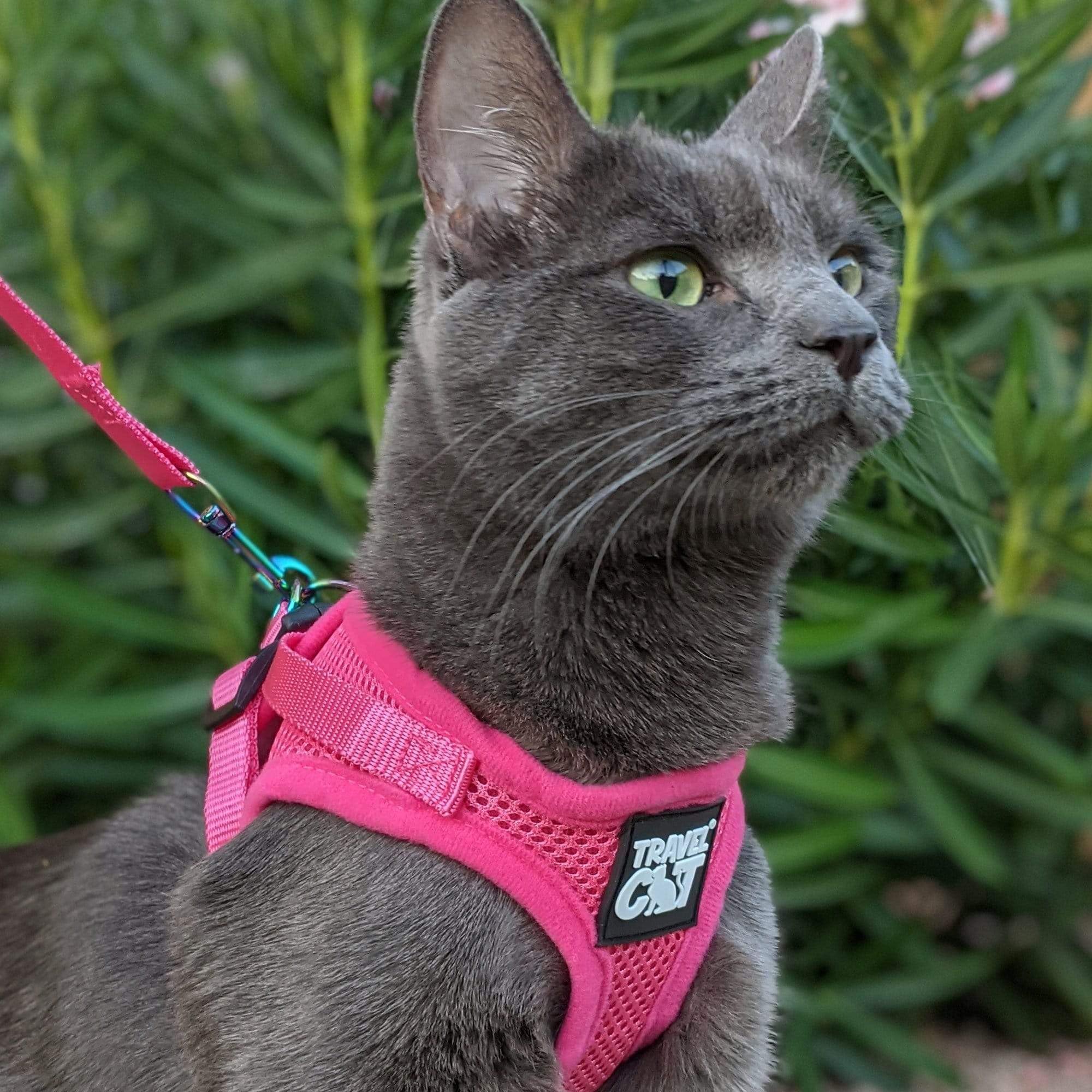 Travel Cat Harness And Leash Set - Adjustable Fit Mesh Cat Harness And Reflective Strap - Comfort Walking Vest For Kitten For Ou