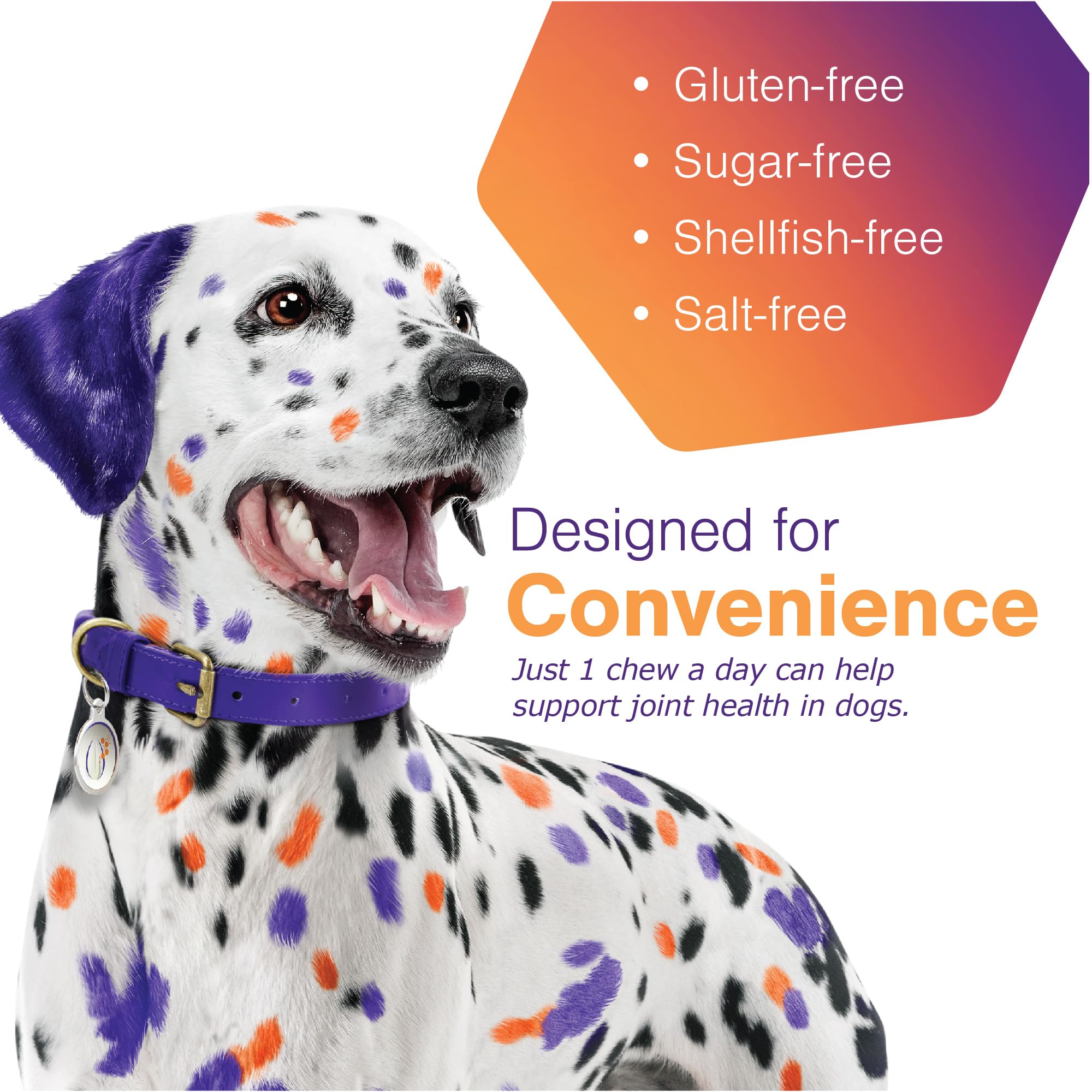 MOVOFLEX Joint Support Supplement for Small Dogs - Hip and Joint Support - Dog Joint Supplement - Hip and Joint Supplement Dogs