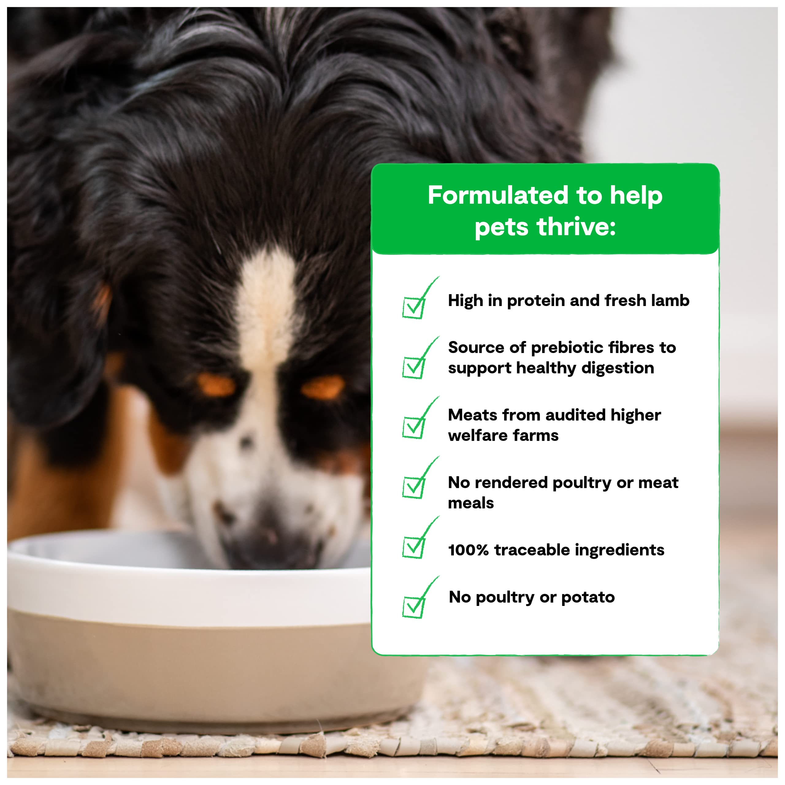 Open Farm Grain-Free Dry Dog Food with Ethically Sourced Ingredients, Non-GMO Veggies & Superfoods to Support Overall Health, Pa