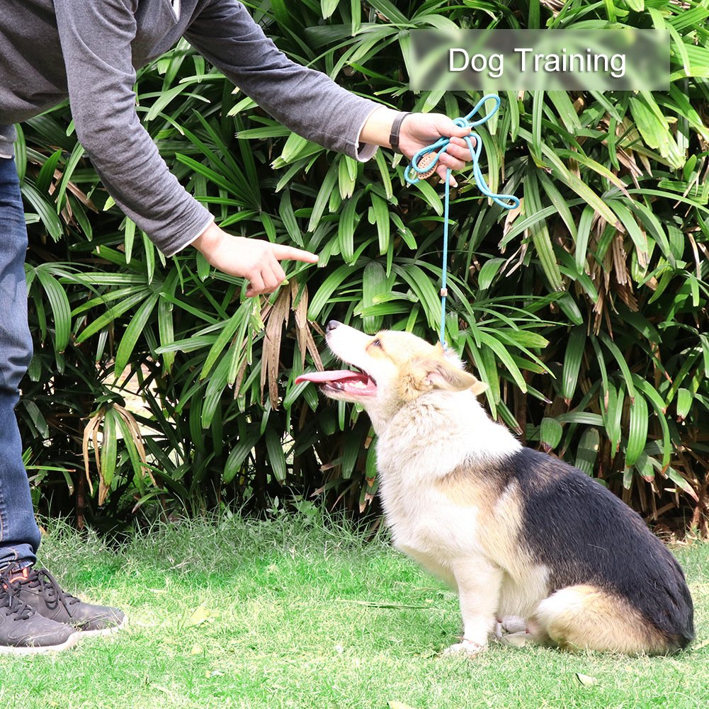 Grand Line Slip Lead Dog Leash, 5Ft Reflective Slip Rope, Puppy Training Walking Controlling Lead, Slip Collar Pet Leash For Small, Medium, Large Dogs (Blue, Small-1/4In X 5Ft)