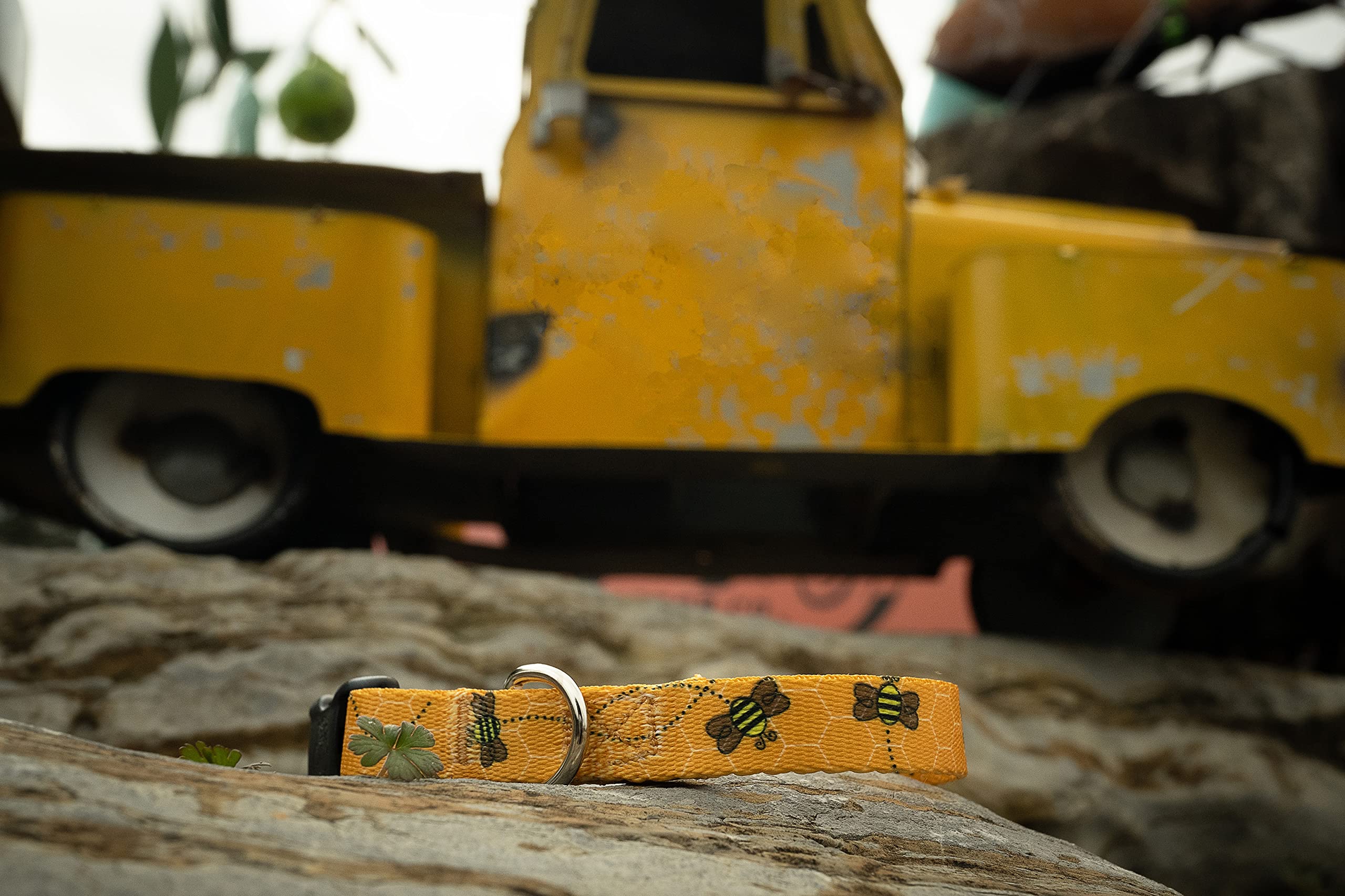 Country Brook Petz - Deluxe Busy Bee Dog Collar - Made In The U.S.A. - Summer Breeze Collection Featuring Sunny Designs (1/2 Inc