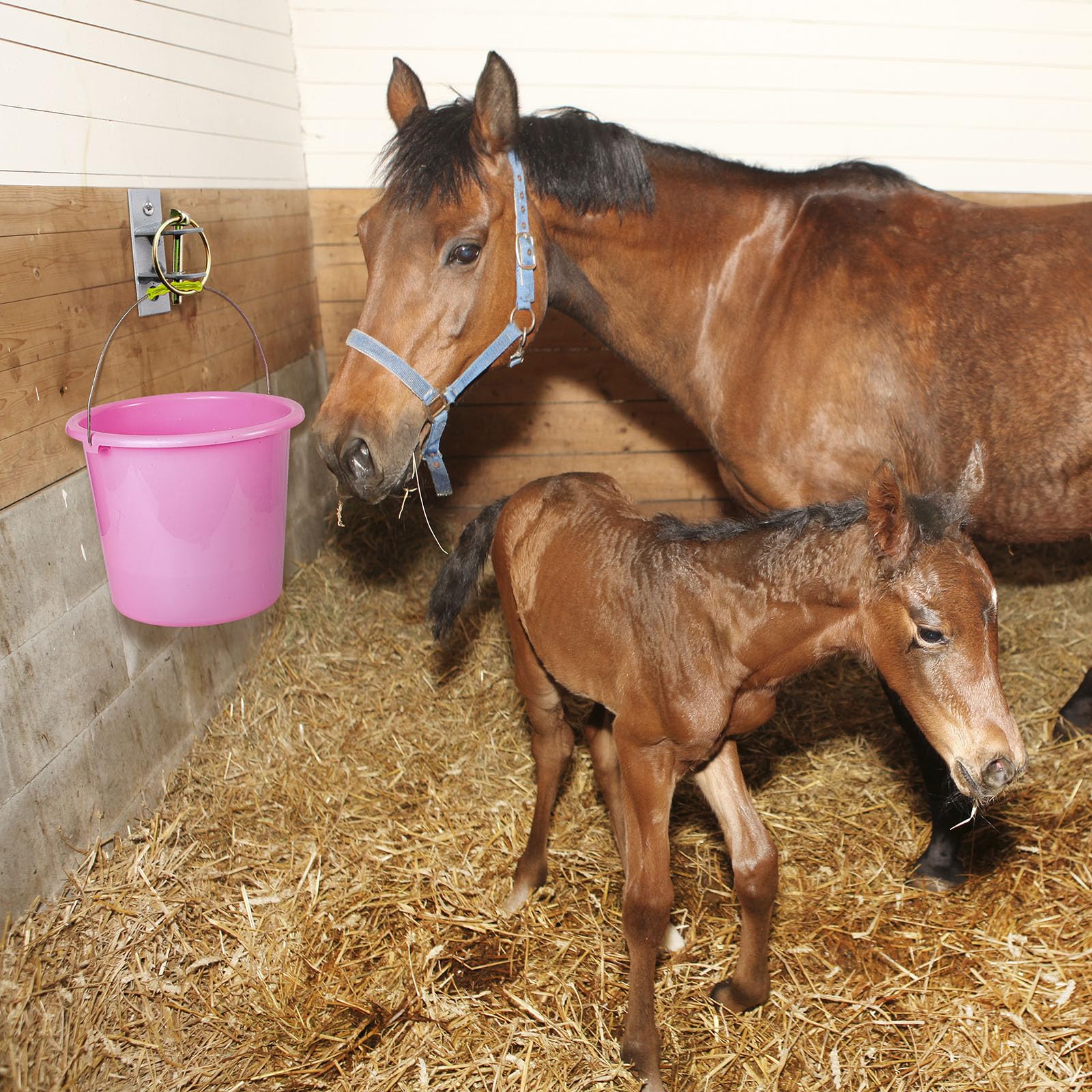 Otoolling 8 Pcs Water Bucket Hooks for Horses with Pin Heavy Duty Wall Mounted Horse Feed Bucket Hangers Holders Metal for Horse