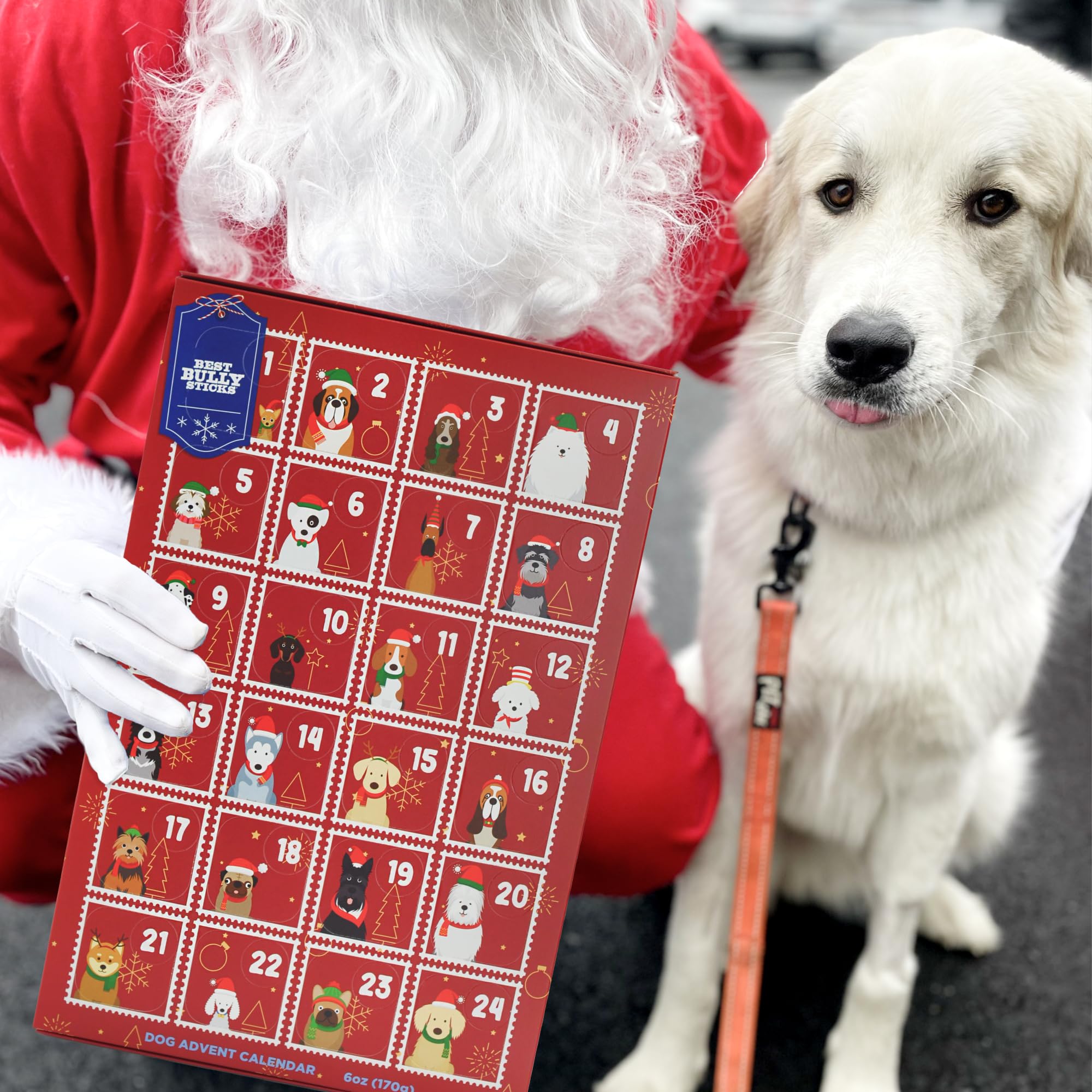 Best Bully Sticks 2024 Dog Advent Calendar with Dog Treats - 24 Days of Joy - All-Natural Chicken & Beef Treats & Chews - Health