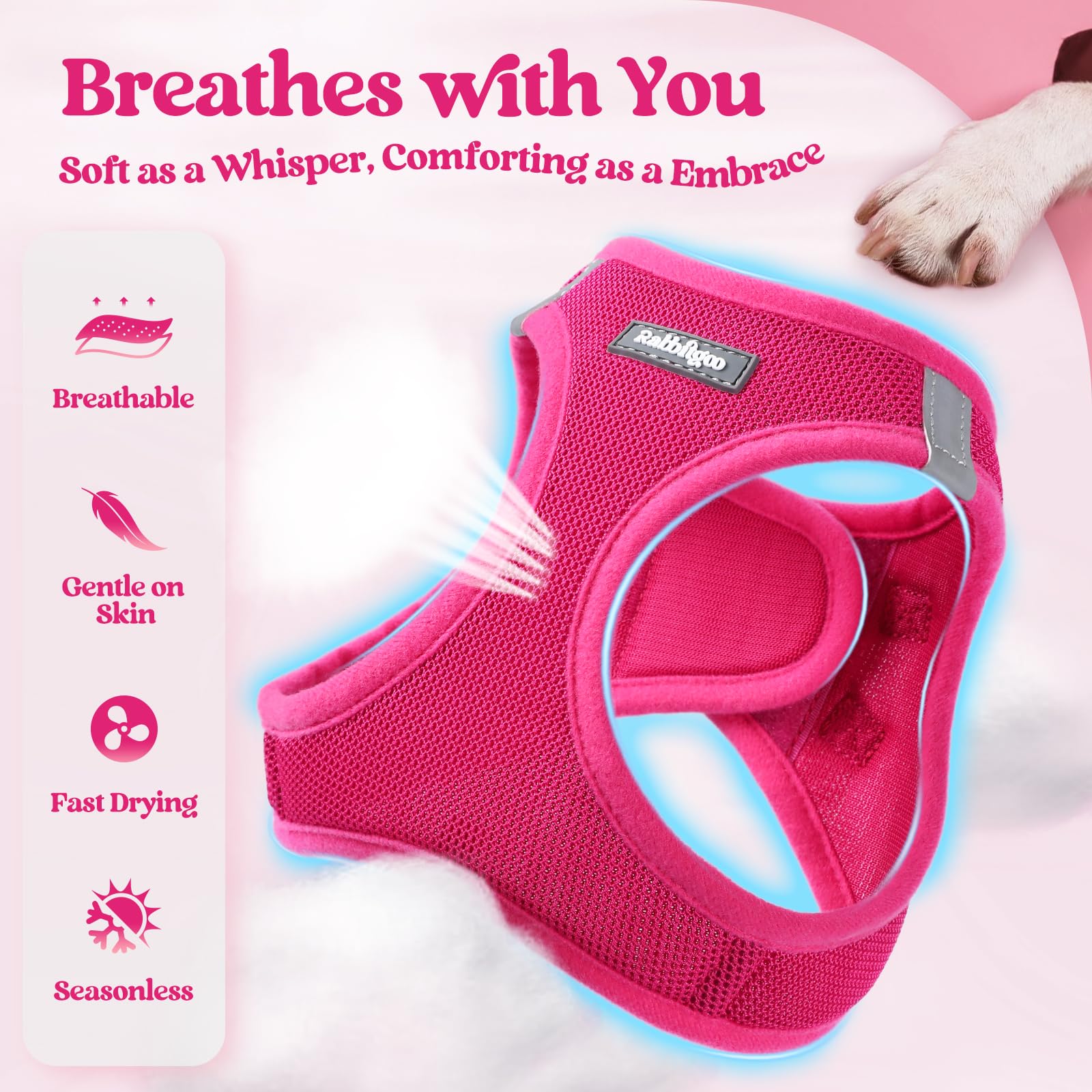 Rabbitgoo Dog Harness Small Medium Sized And Leash Set, Step In Soft Light Puppy Vest, Breathable Mesh Pet Harness, Reflective F