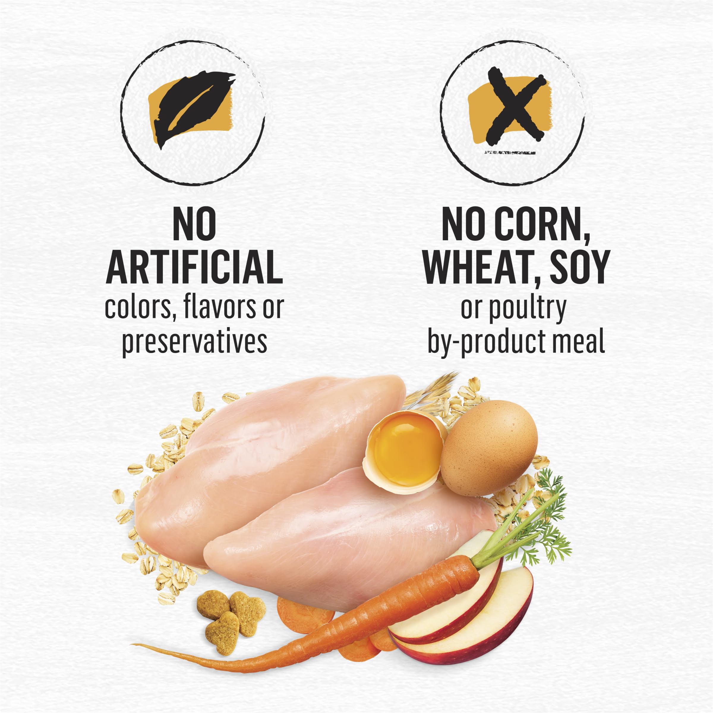Purina Beyond Natural Dry Cat Food Wholesome Ingredients for Whole Health White Meat Chicken and Whole Oat Meal Recipe - 6 lb. B