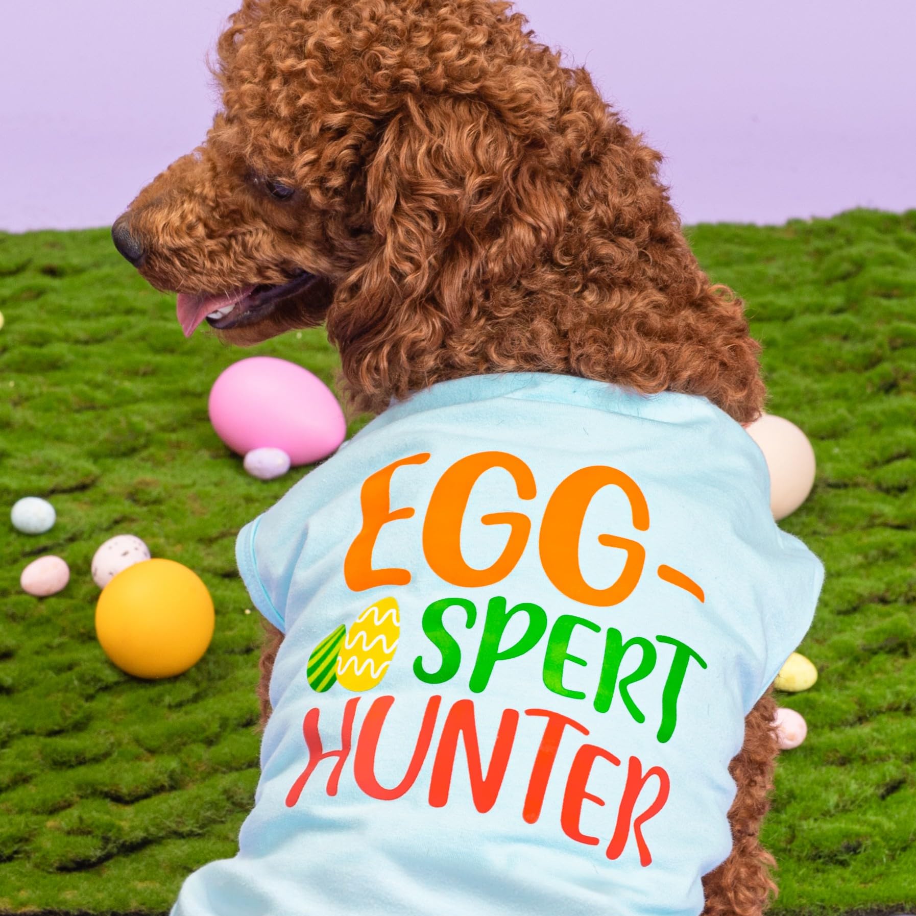 Fitwarm Egg-Spert Hunter Dog Easter Outfit, Summer Clothes For Small Dogs Boy Girl, Pet Outfit, Blue, Red, Green, Orange, Large