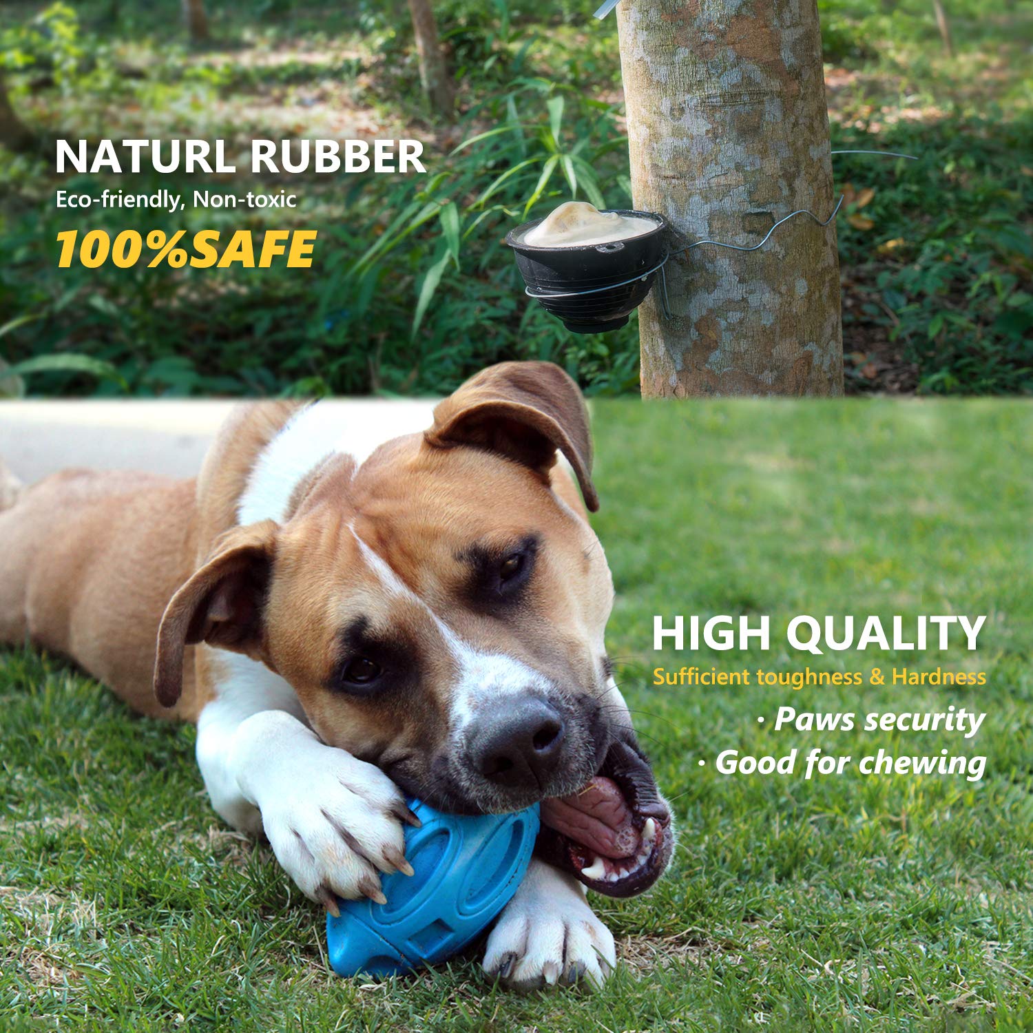 EASTBLUE Squeaky Dog Chew Ball - Indestructible Rubber Toy for Medium/Large Breeds - Blue