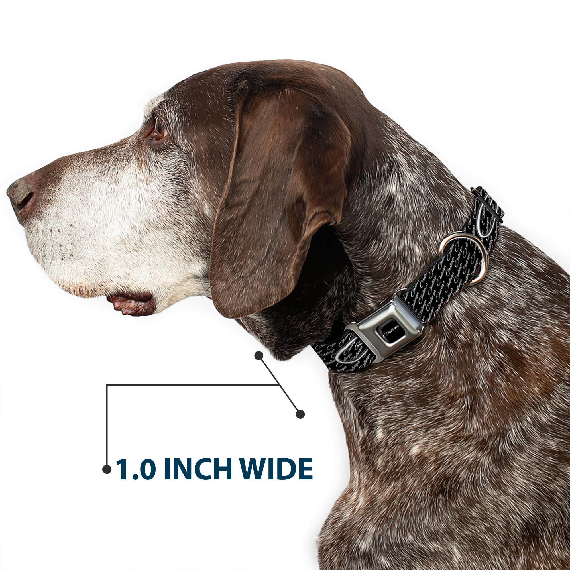 Buckle-Down Seatbelt Buckle Dog Collar - CHALLENGER Repeat w/Text Black/White - 1.5 Wide - Fits 16-23 Neck - Medium