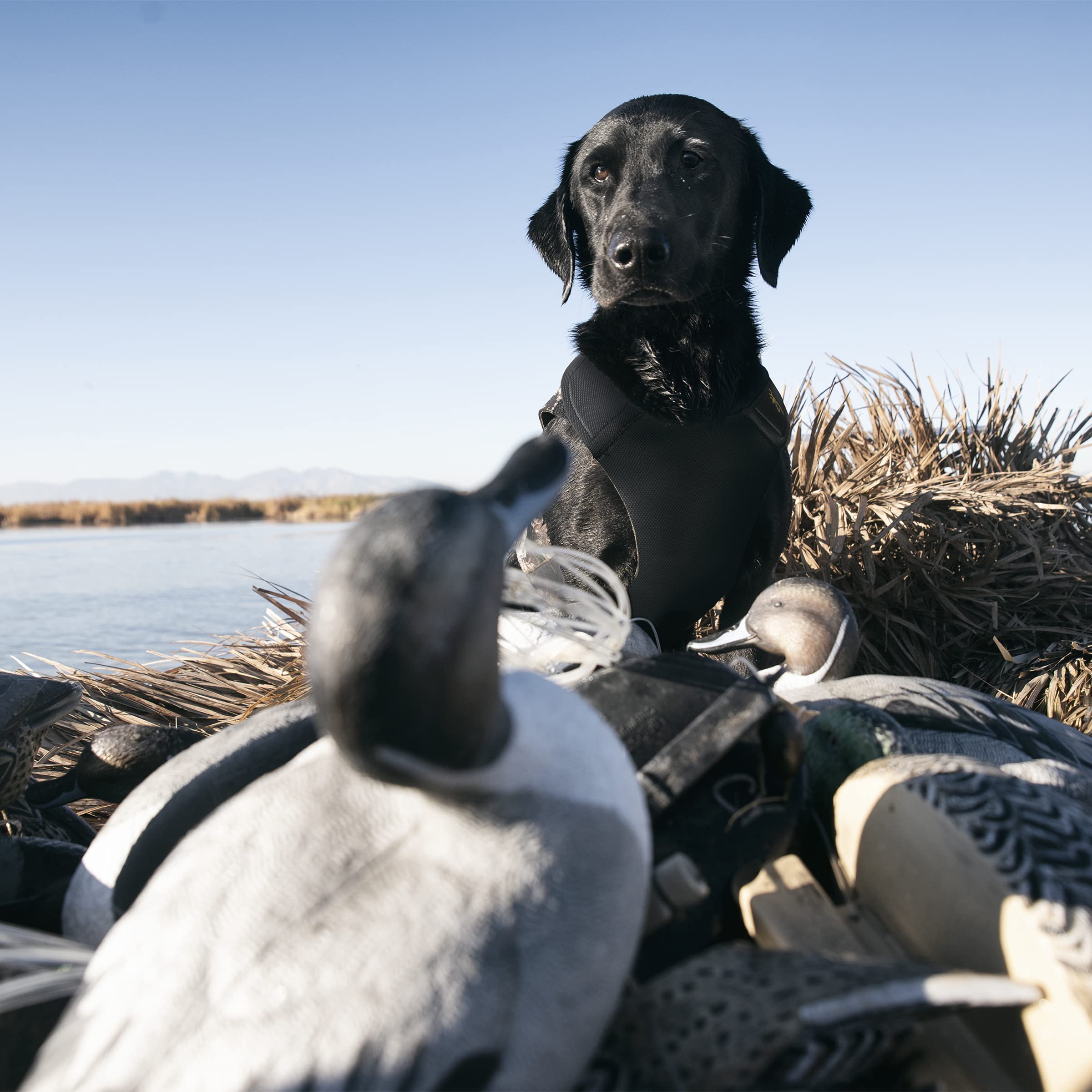 Browning Pet Vest, 5Mm, Handle, Neoprene Vest 5Mm Handle 2Xl, Realtree Max-5 (5Mm), Xx-Large Us
