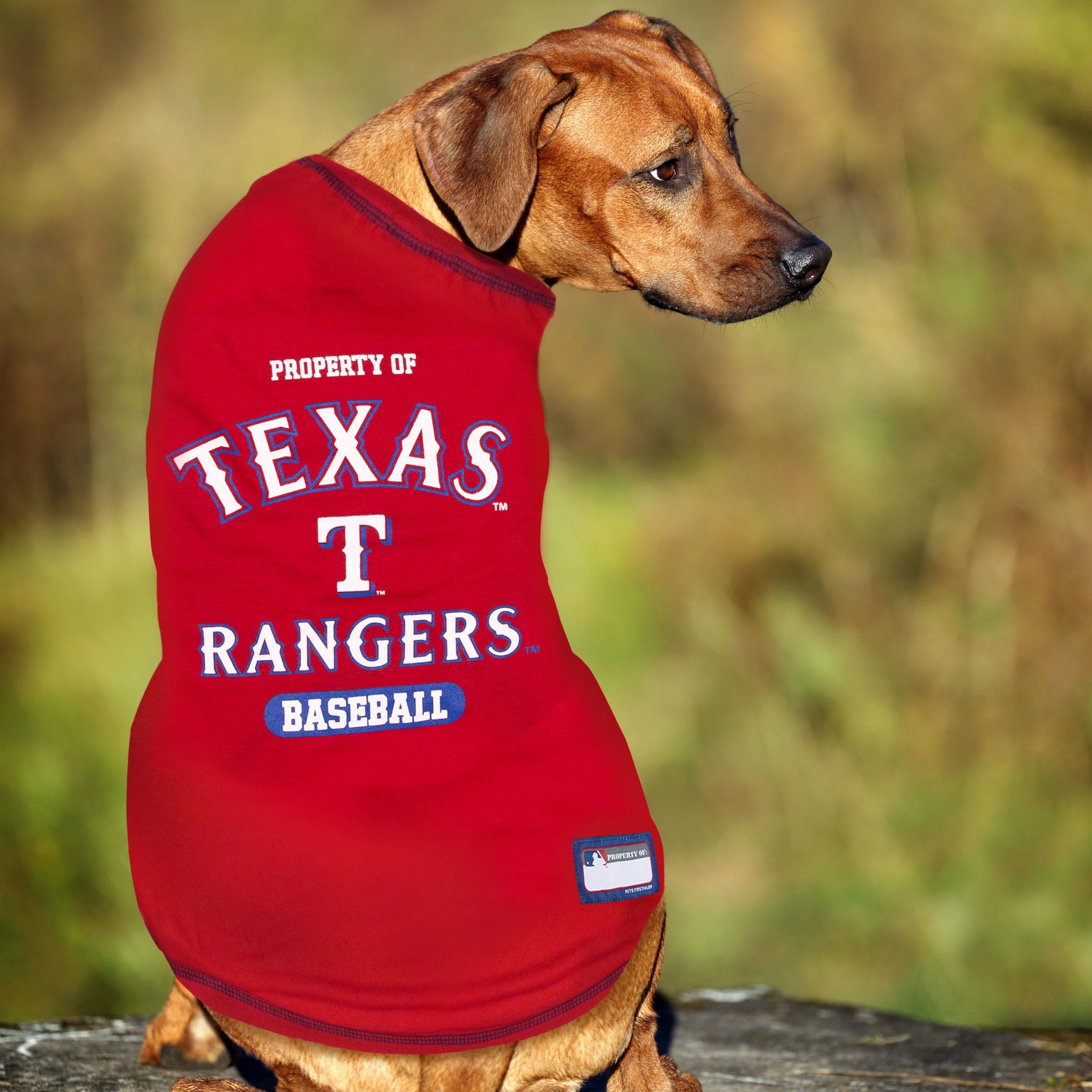 Pets First Mlb Texas Rangers Baseball Field Dog Toy With Double Rim Stitching & Inner Squeaker