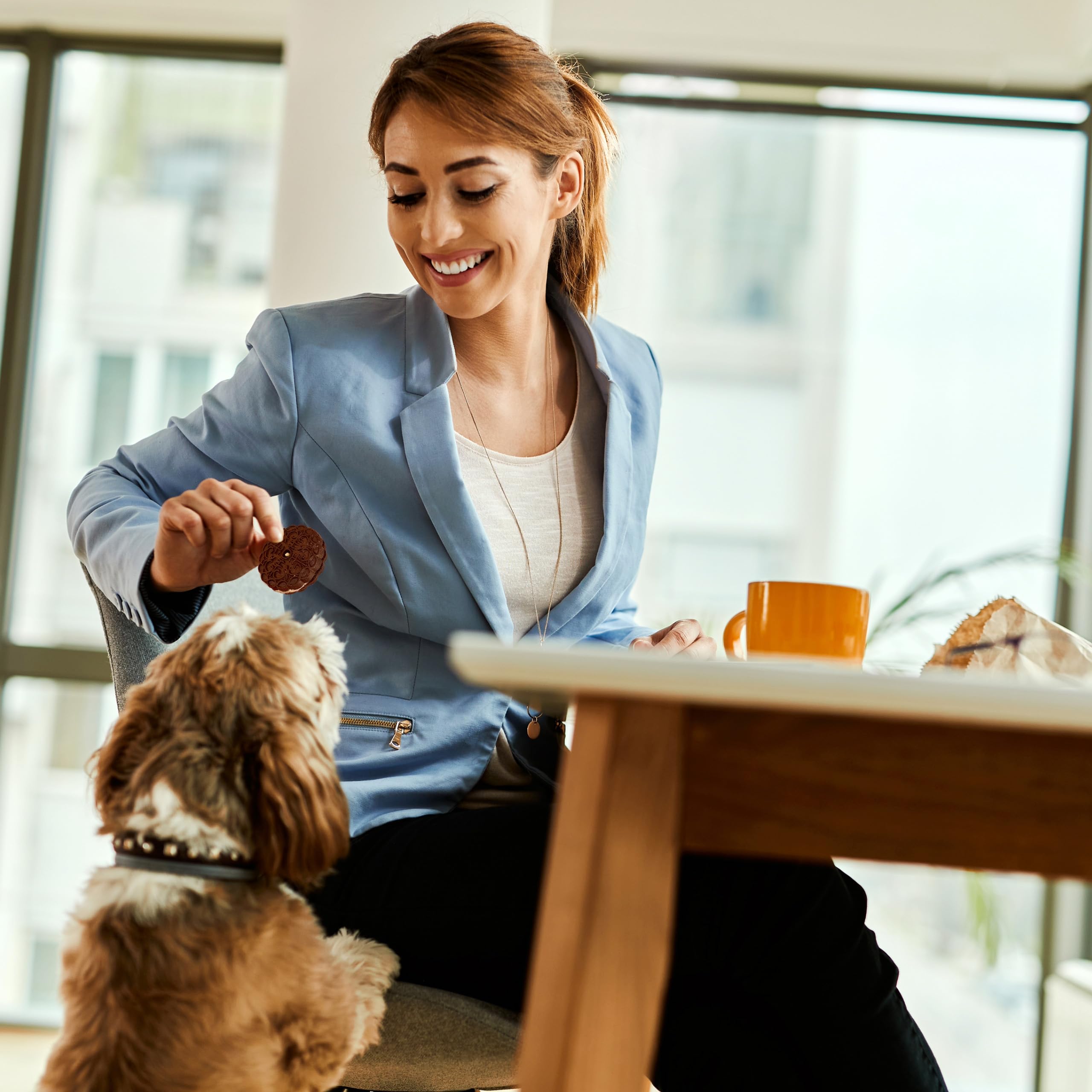 Exclusively Dog Carob Sandwich Cremes Cookies - All Natural Dog Treats, No Animal Byproducts, Baked in The USA, Ideal for Medium