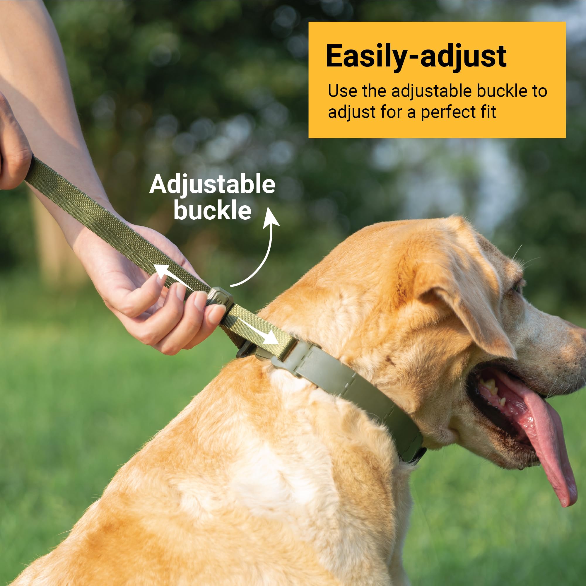 Svd.Pet Dog Prong Collar For No-Pull Training, Quick-Release Buckle Adjustable Pinch Collar For Medium Dogs (Army Green, Medium