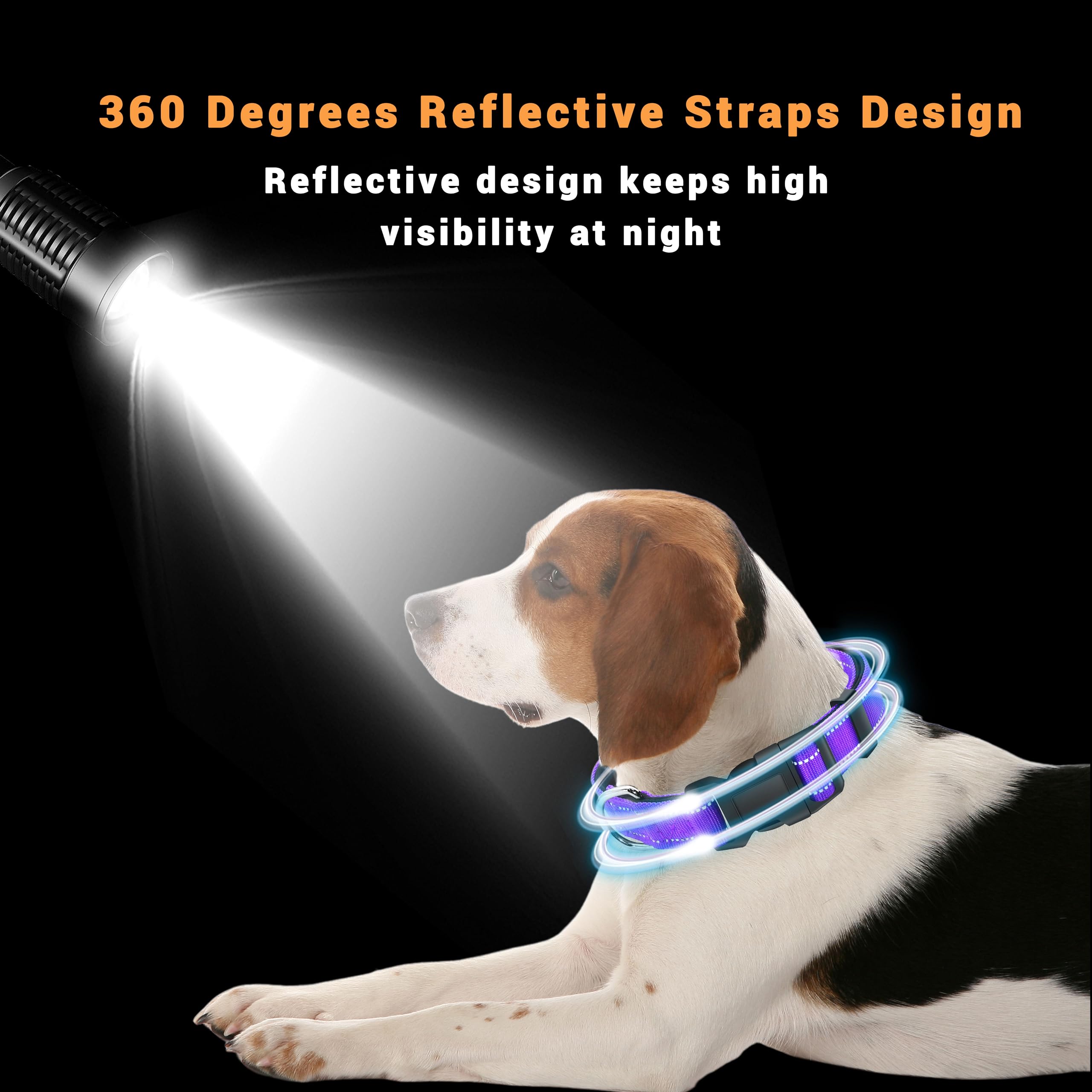 Lievuiken 2 Pack Reflective Dog Collar With Safety Locking Buckle, Adjustable Soft Breathable Comfortable Nylon Pet Collar For Small, Medium And Large Dogs, Purple, M