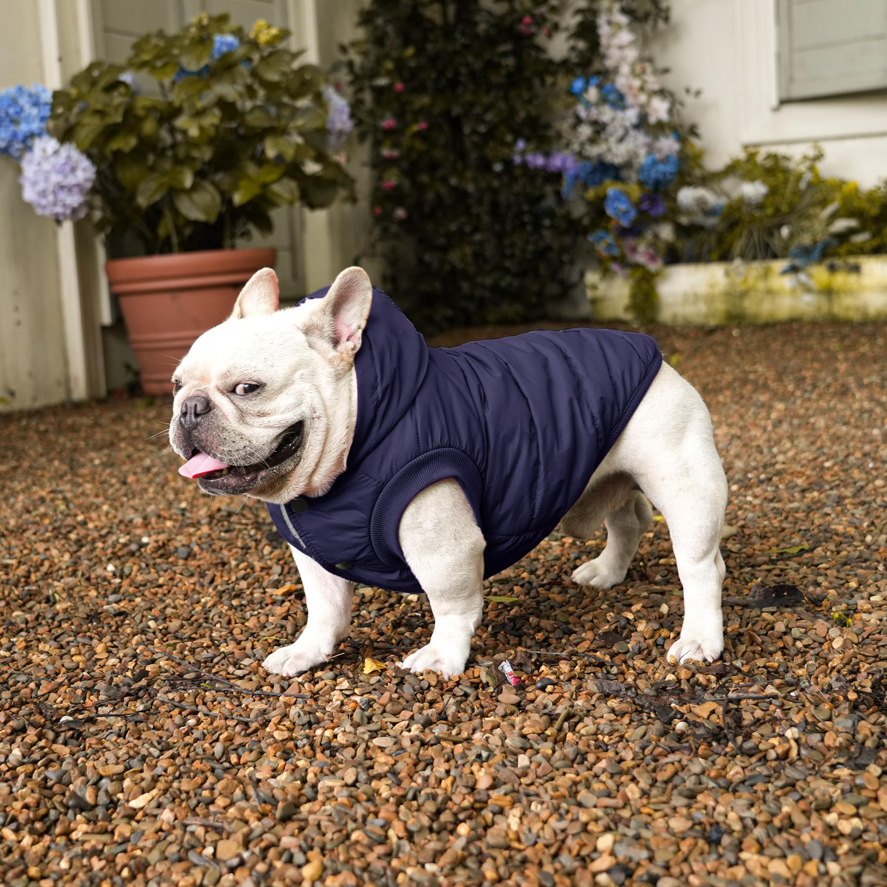Vecomfy Fleece Lining Dog Hoodie With Harness Built In,Extra Warm Small Dog Jacket In Winter Puppy Coats With Hooded,Red Xs